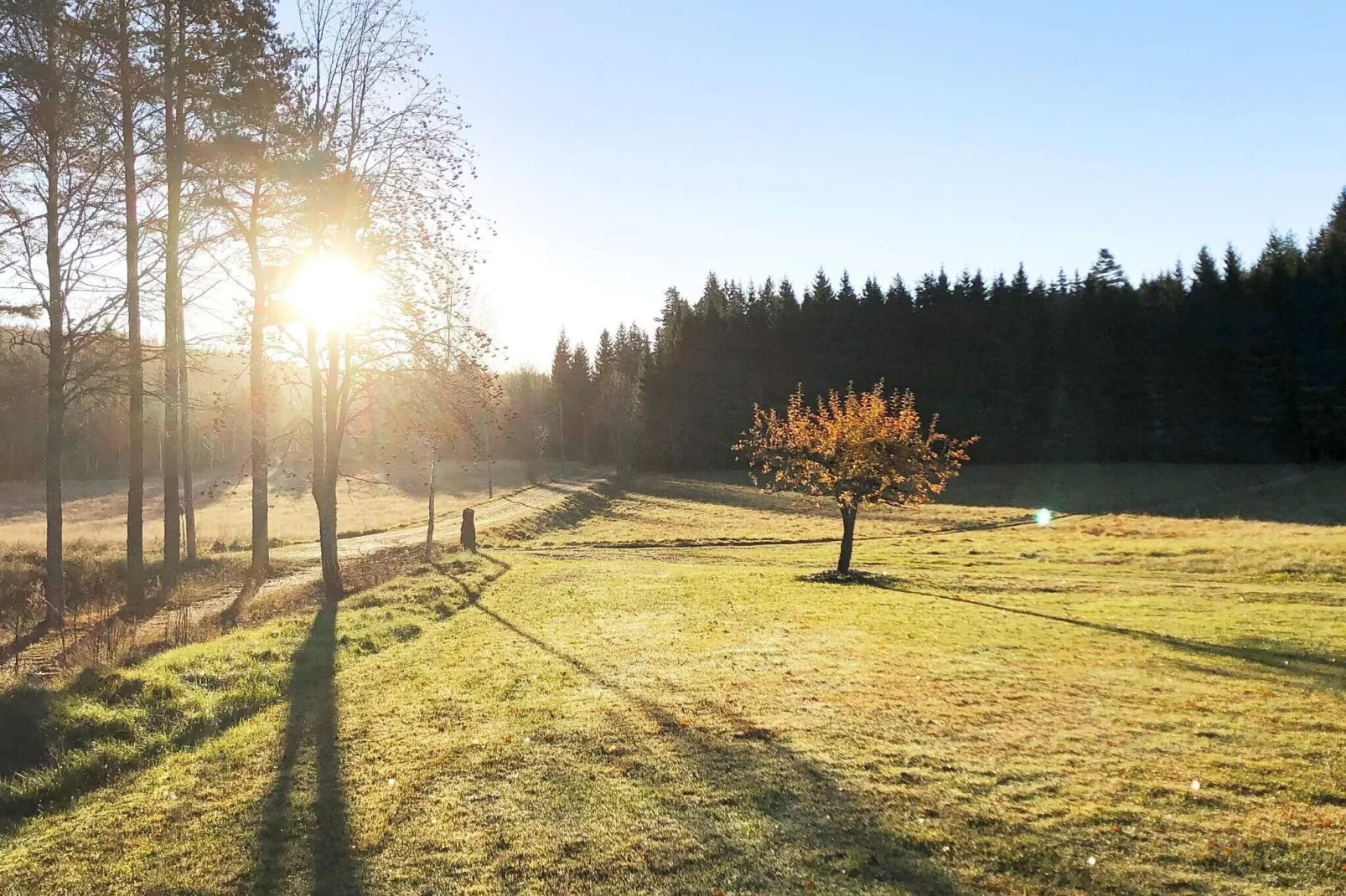 8 person holiday home in DALS-LÅNGED-By Traum-Not tagged