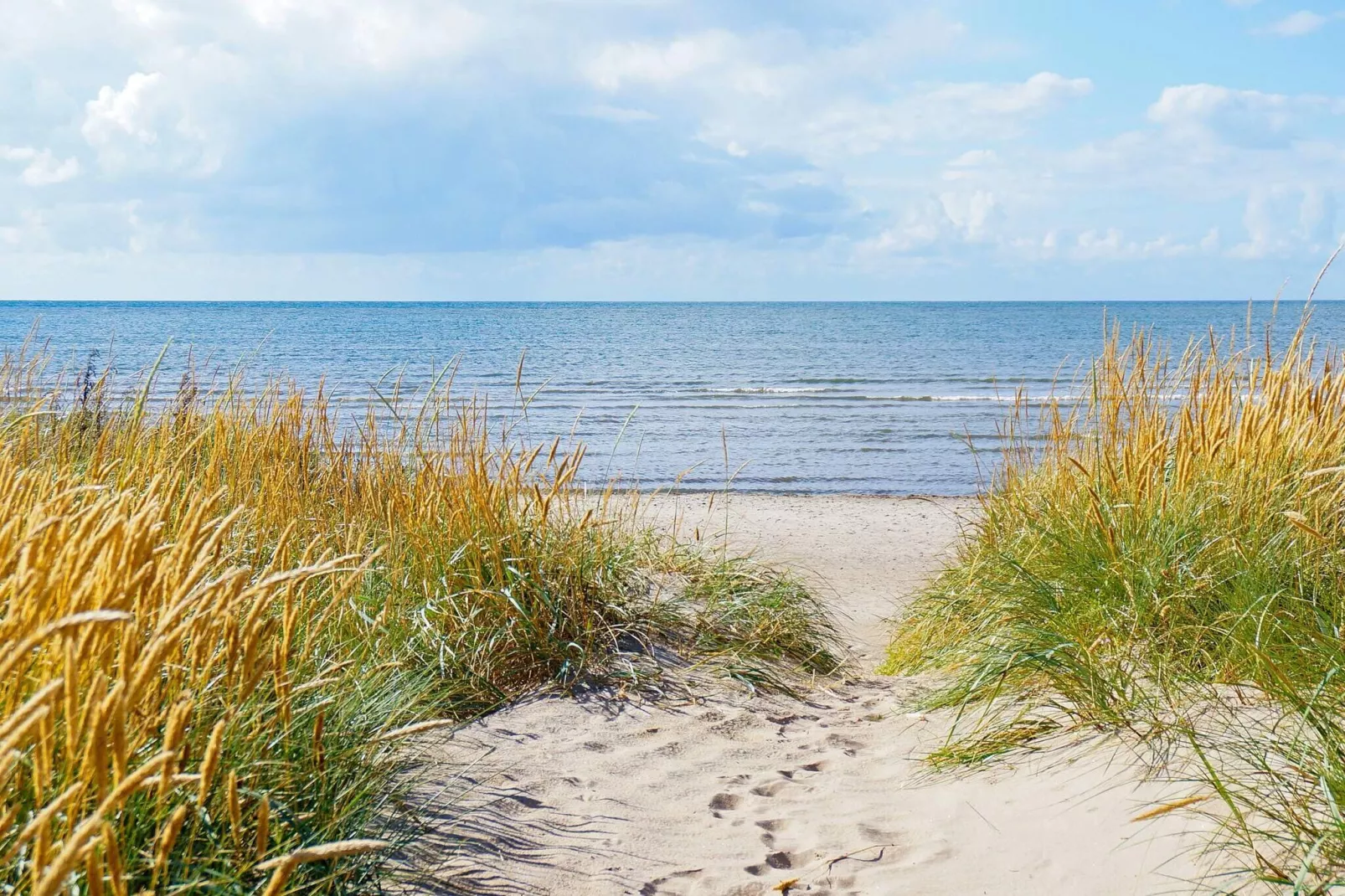 4 person holiday home in FALKENBERG-By Traum-Untagged