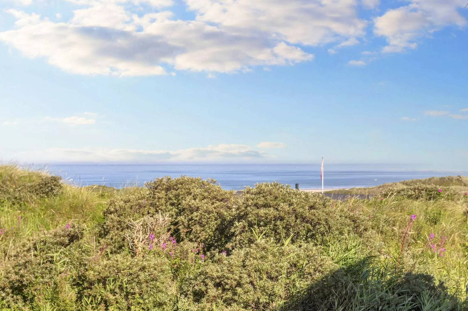 12 person holiday home in Hirtshals-By Traum-View