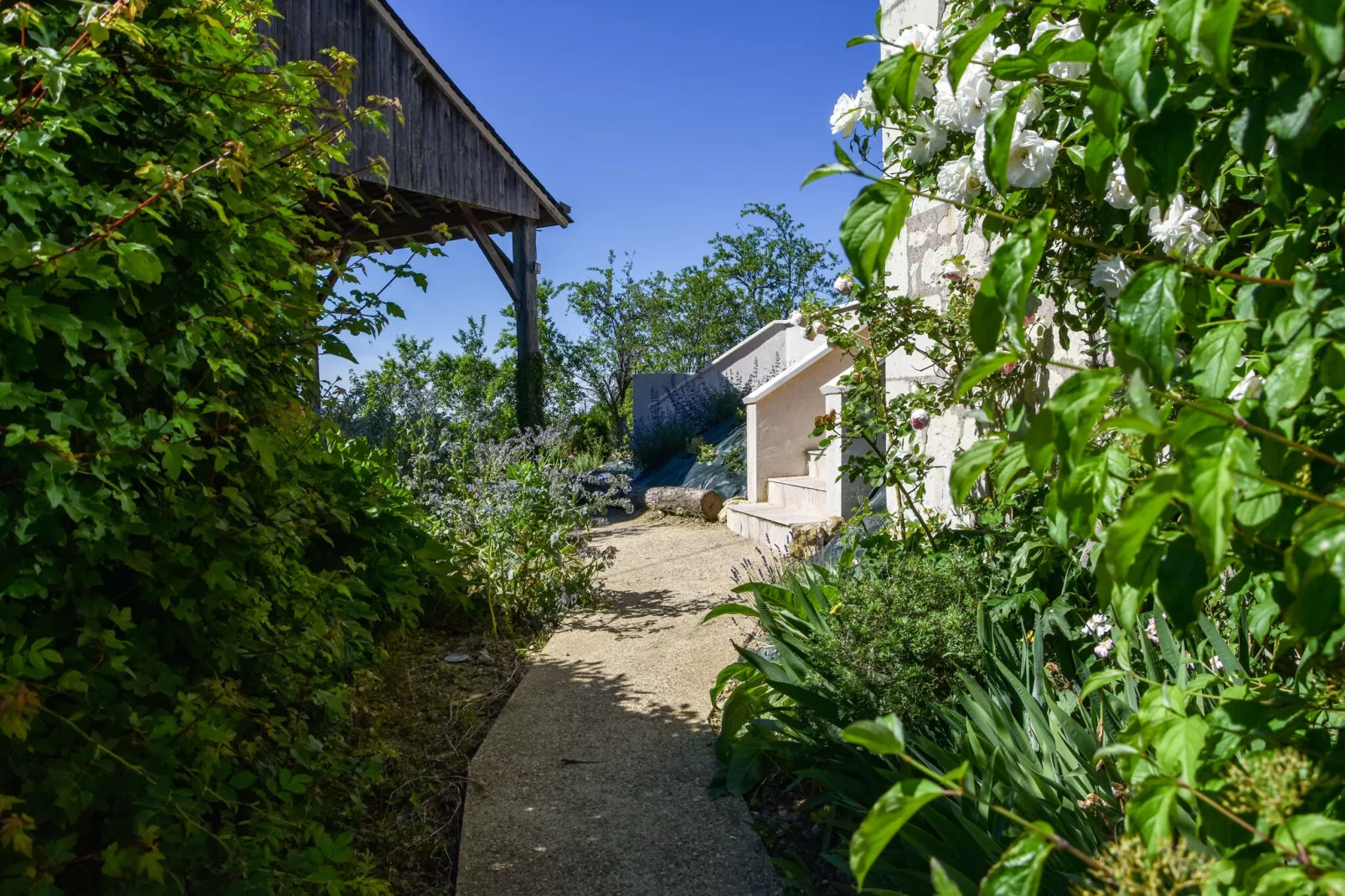 Gite vallée de la Loire-Gärten Sommer