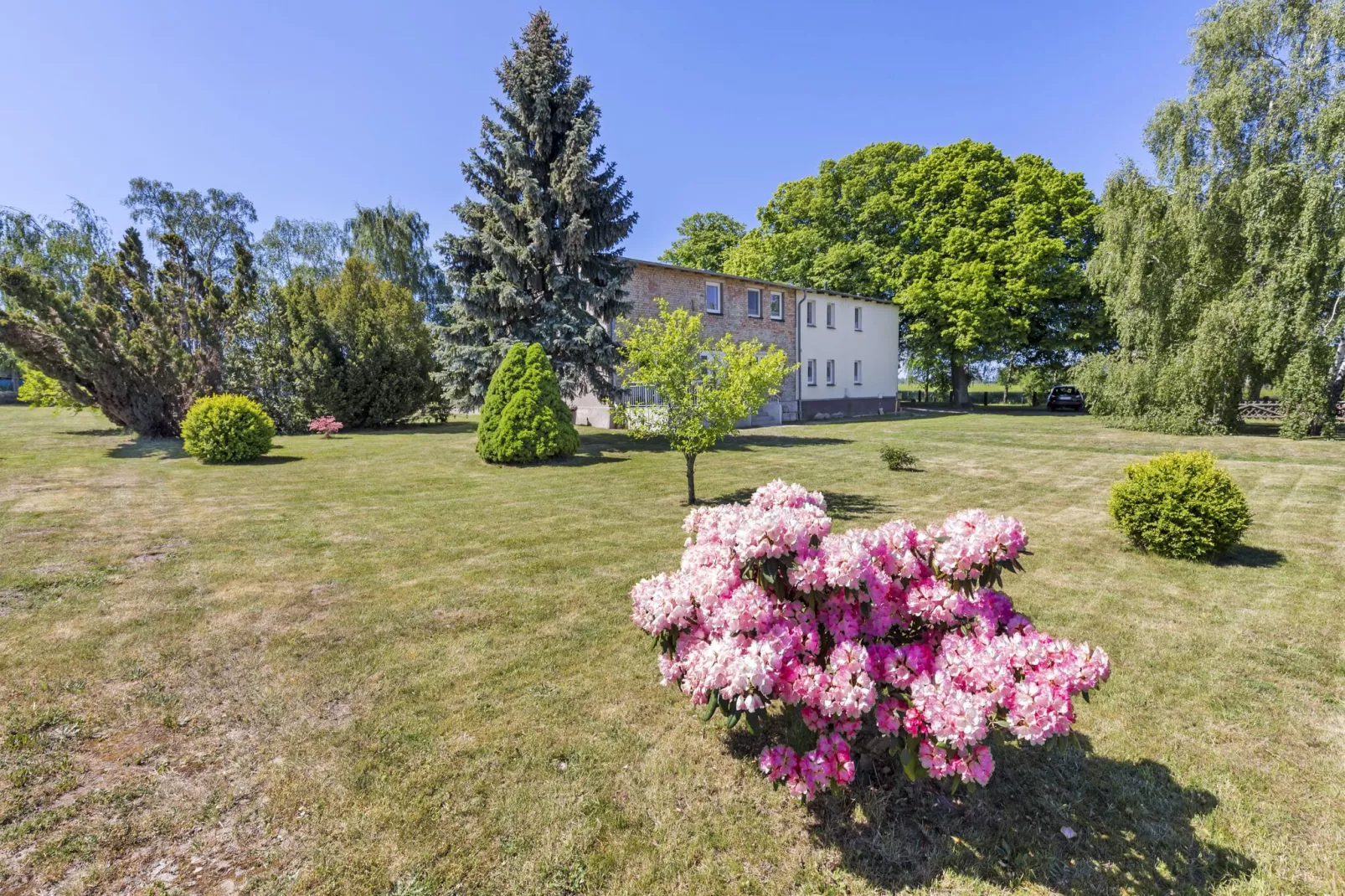 Ferienwohnung in Kühlungsborn-Gardens summer