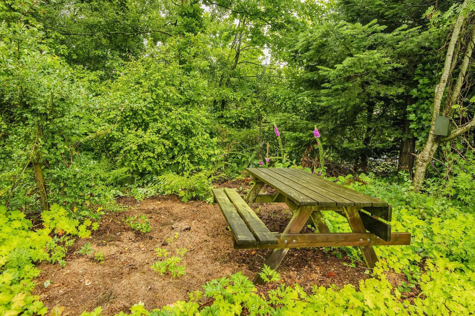 6 person holiday home in Ulfborg-By Traum-View