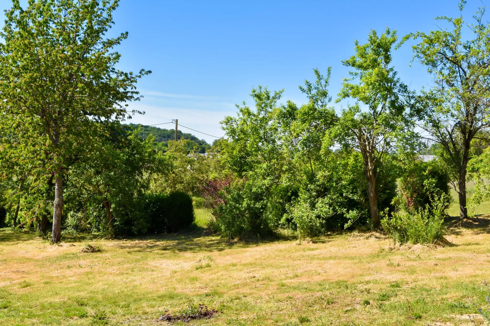 Gite vallée de la Loire-Gebiete Sommer 1 km