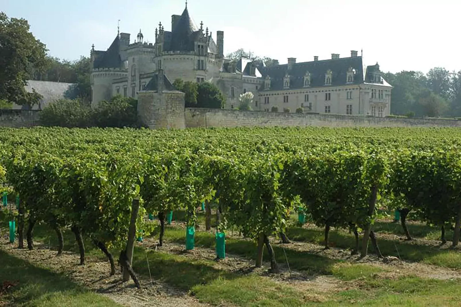 Gite vallée de la Loire-Gebiete Sommer 20 km