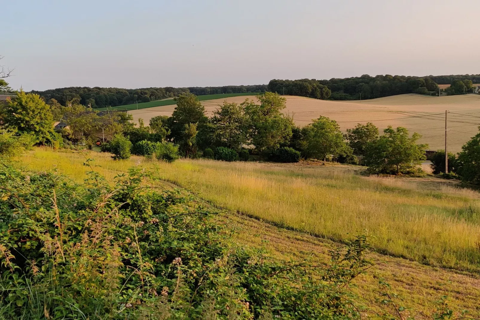 Gite vallée de la Loire-Aussicht Sommer