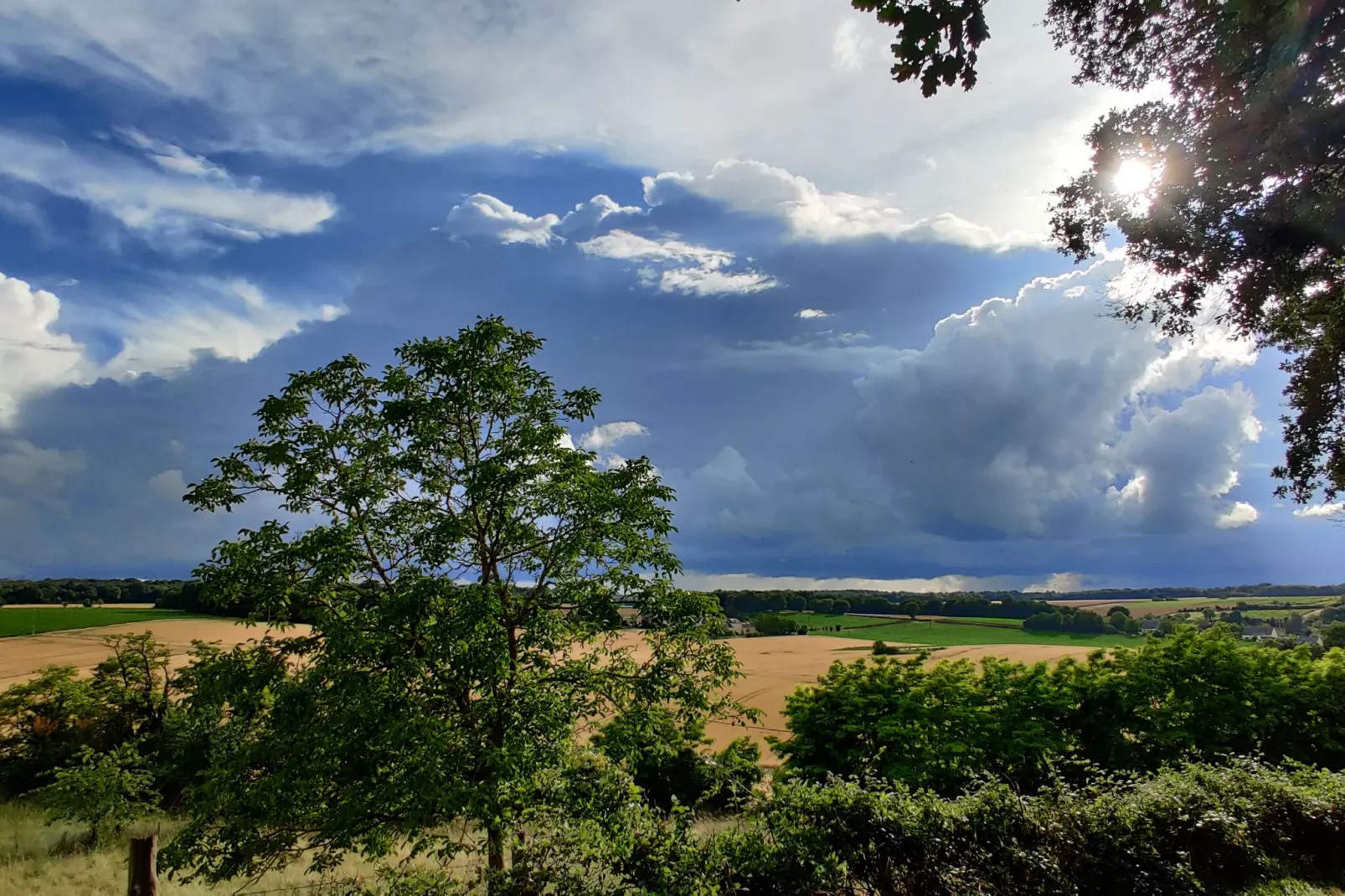 Gite vallée de la Loire-Gebiete Sommer 1 km