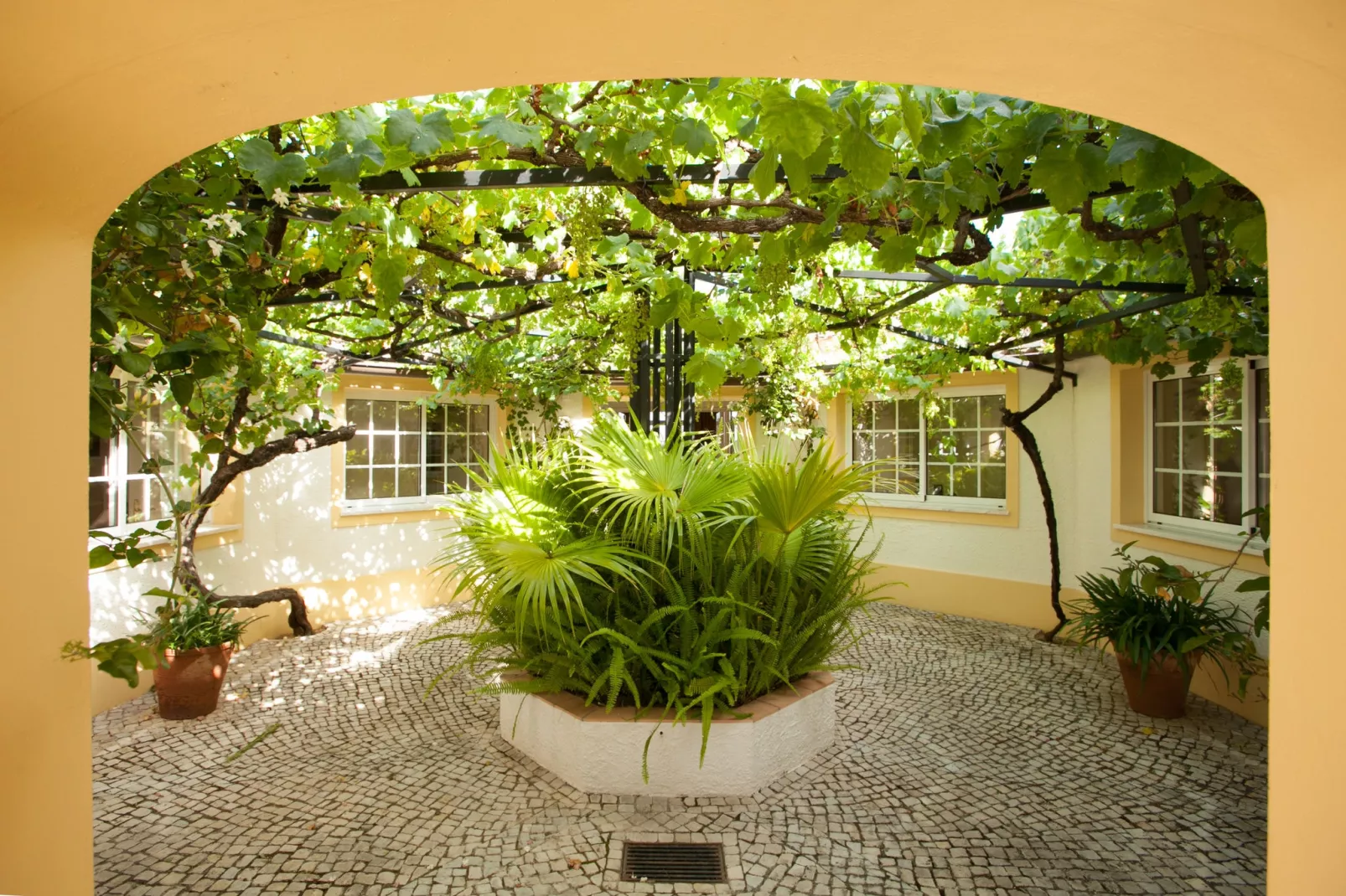 Villa Foz do Banho-Gärten Sommer