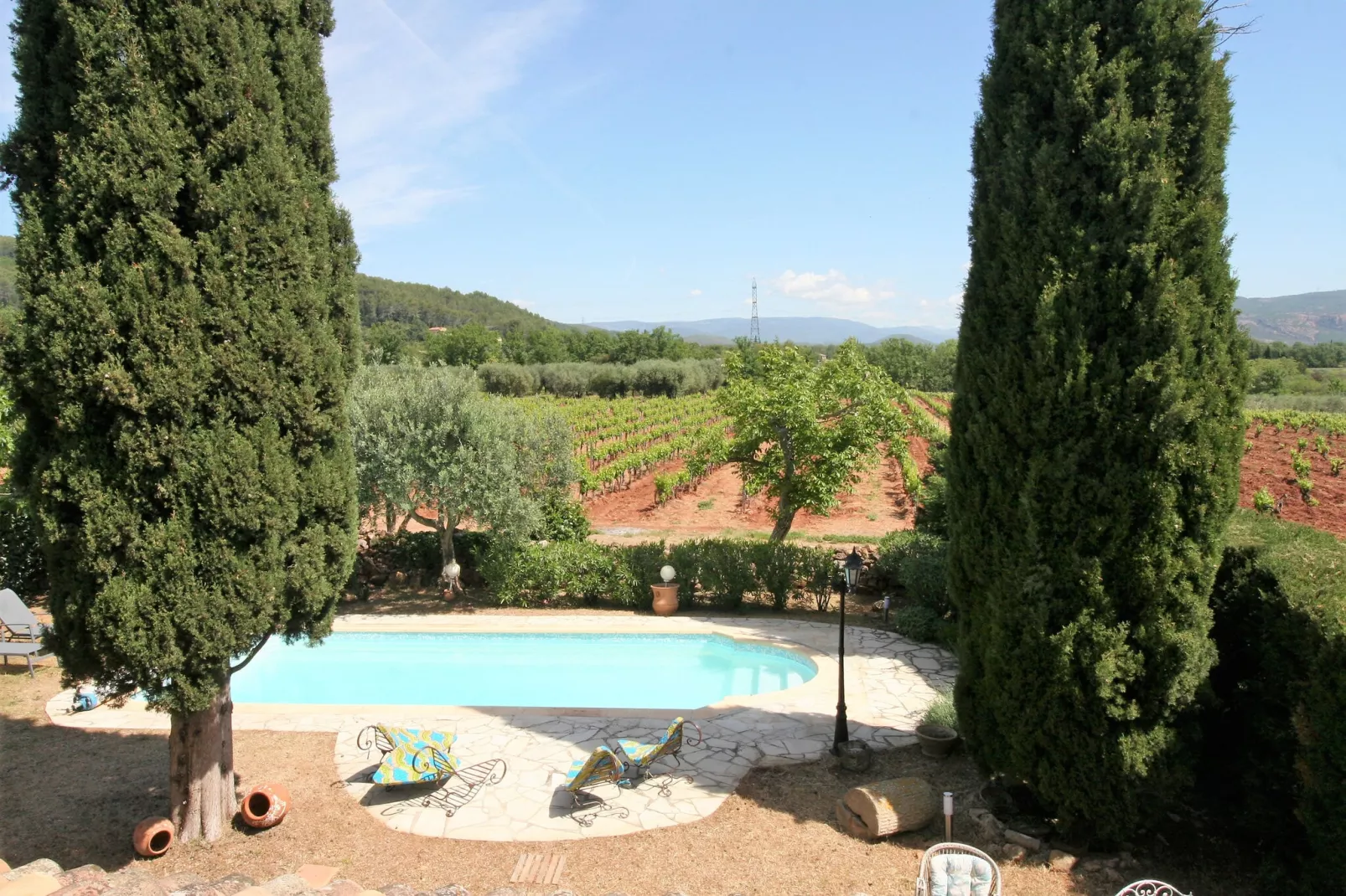 Entre les vignobles-View summer