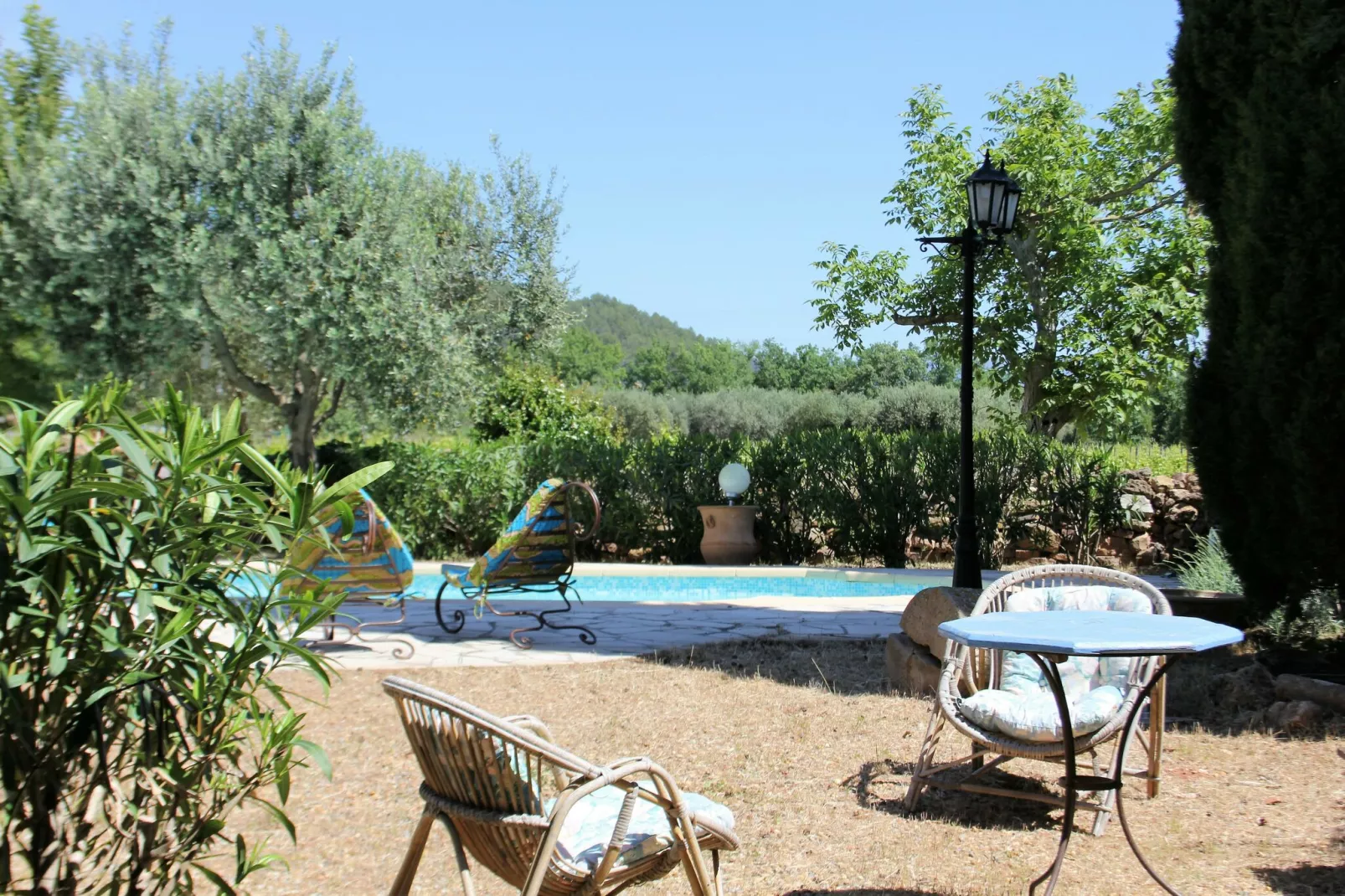 Entre les vignobles-Gardens summer