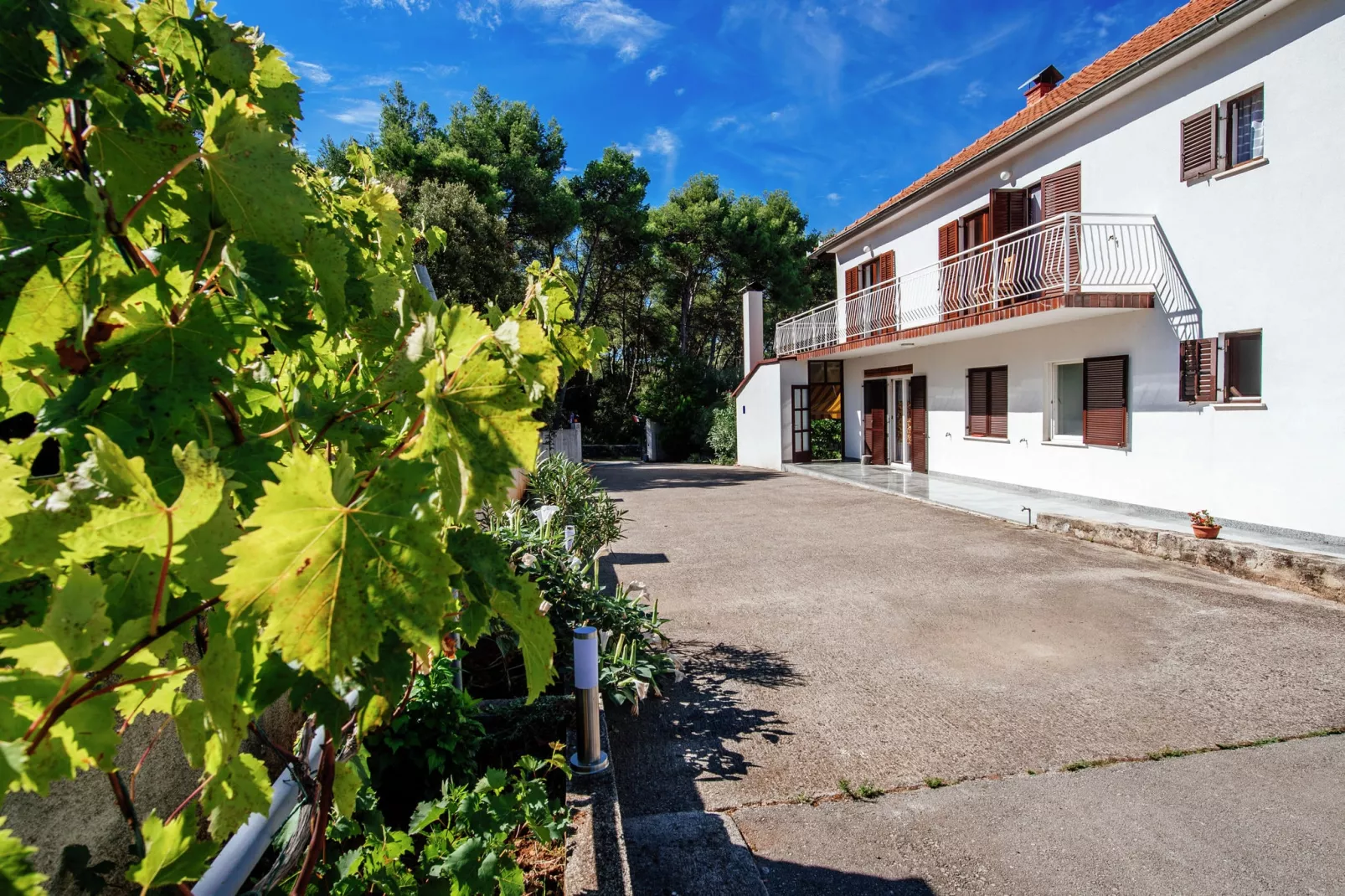 Apartment Jelenka-Exterior summer