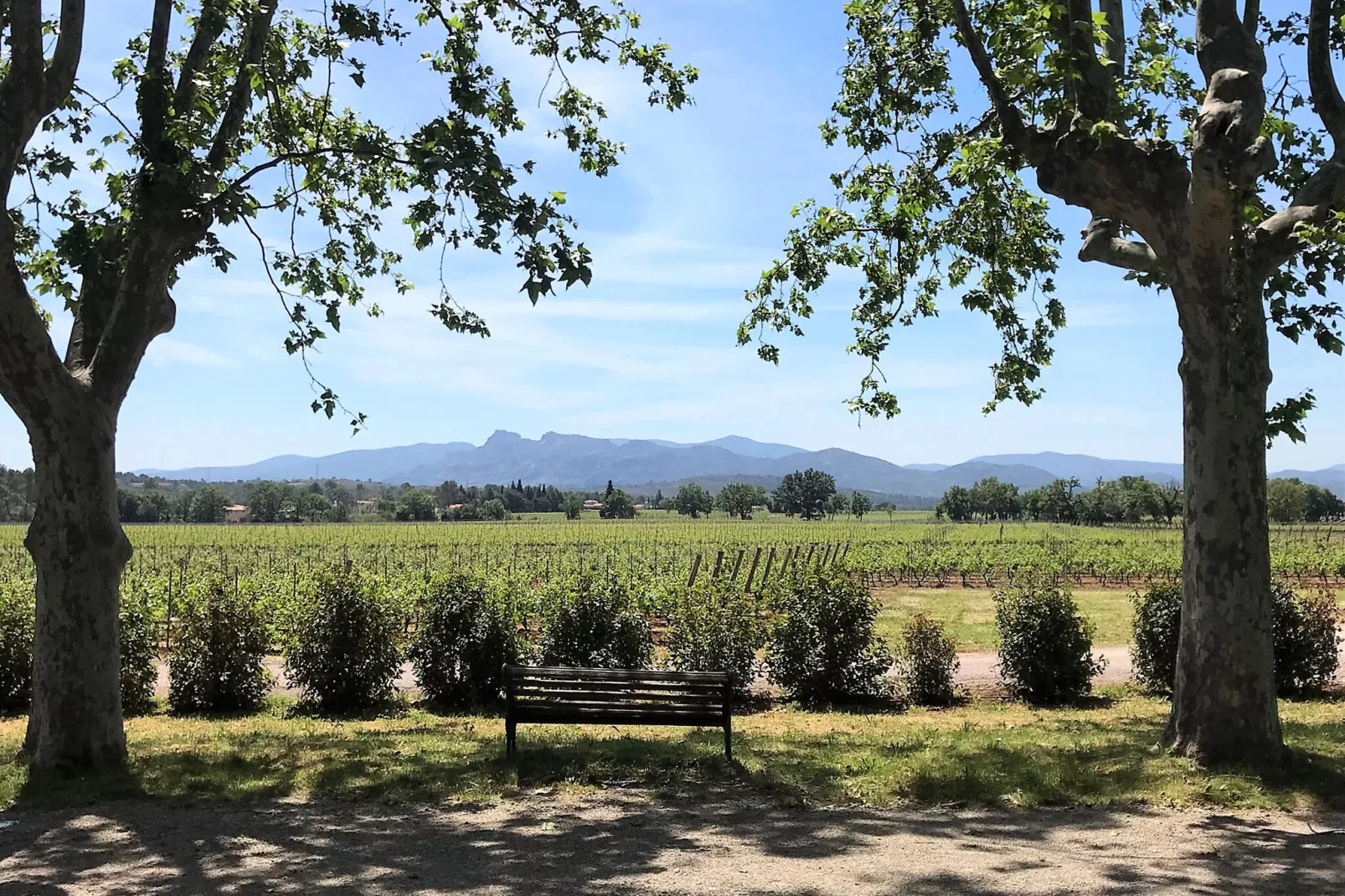 Entre les vignobles-Areas summer 20km