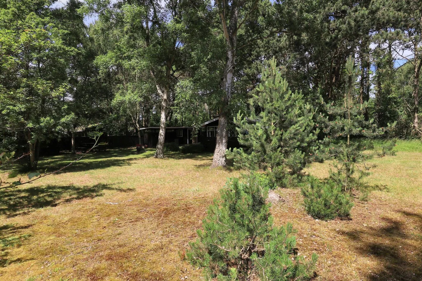 Maison de vacances pour 4 a Rødby-By Traum-Vue