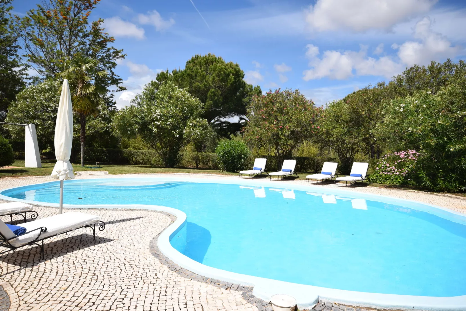 Quinta Velha-Pool