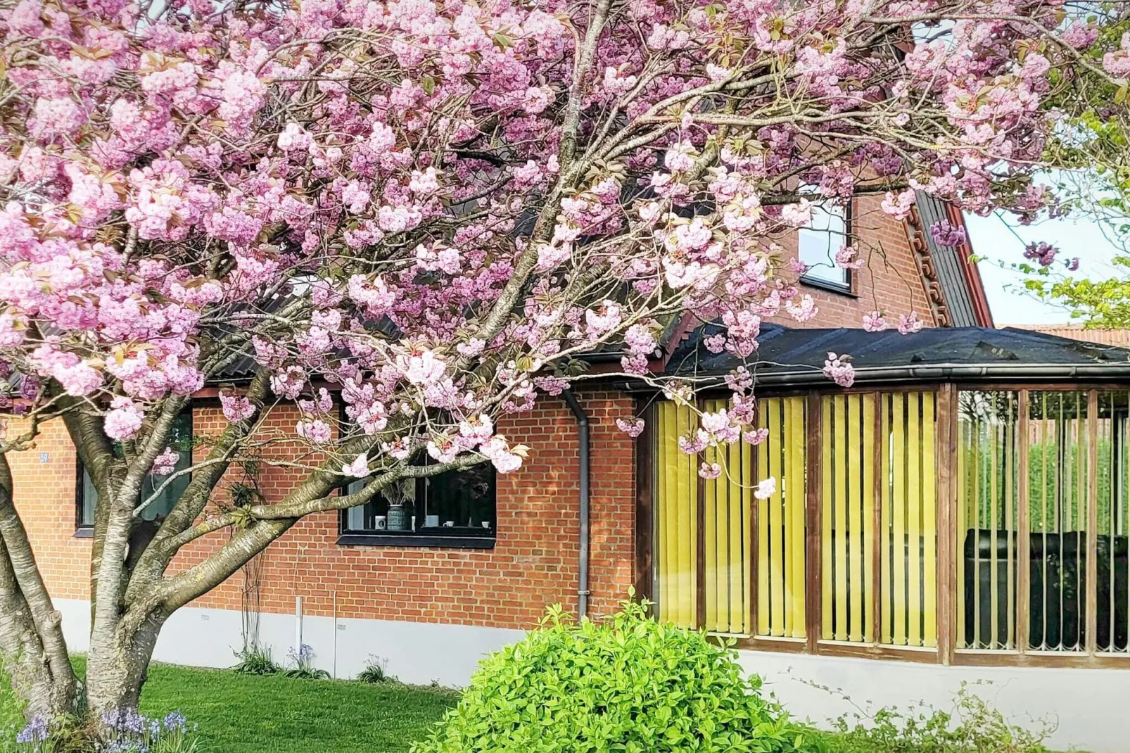 Maison de vacances pour 8 a Øster Assels-By Traum-Extérieur