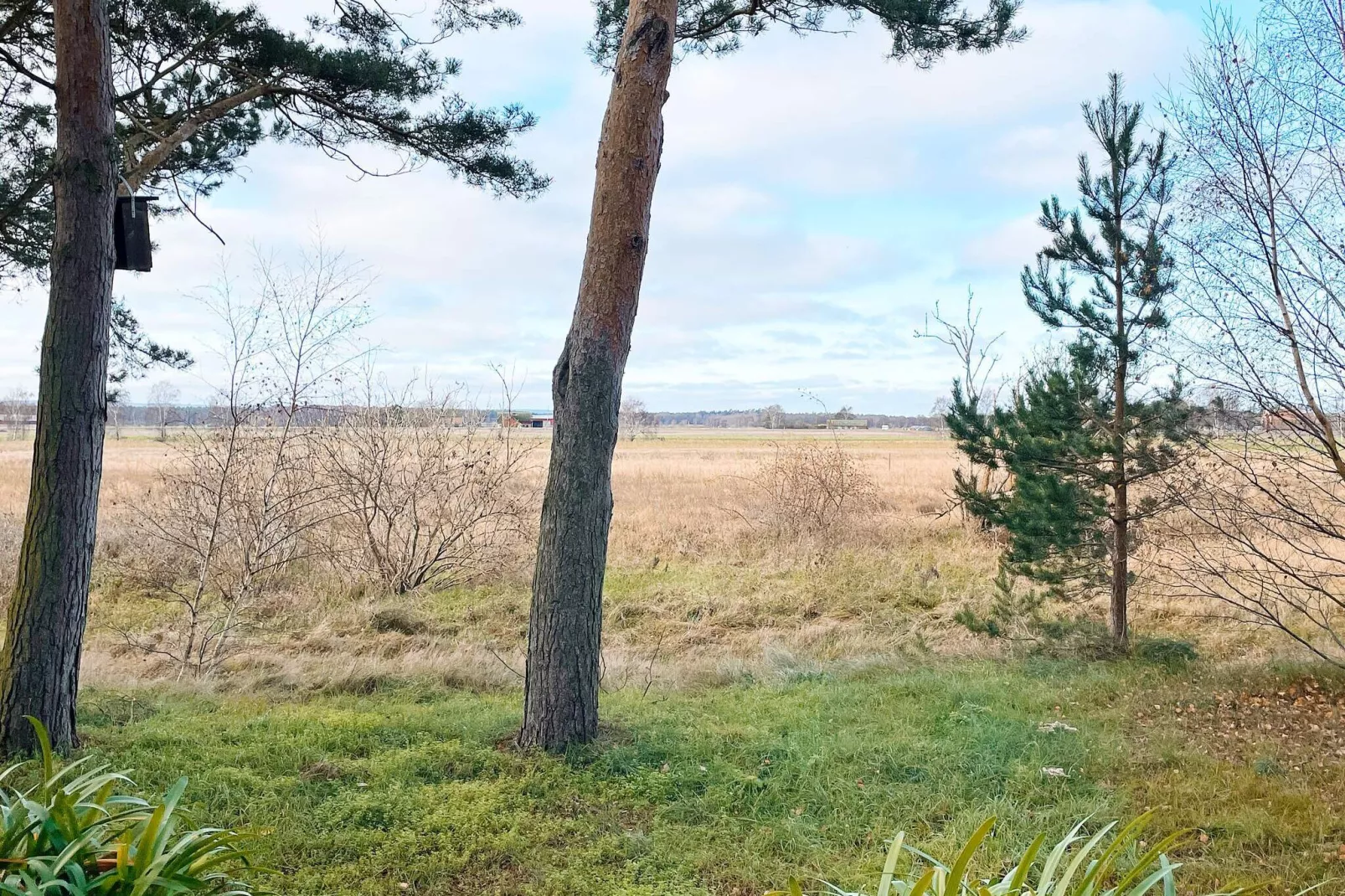 4 Sterne Ferienhaus in YNGSJÖ-By Traum-Außenbereich