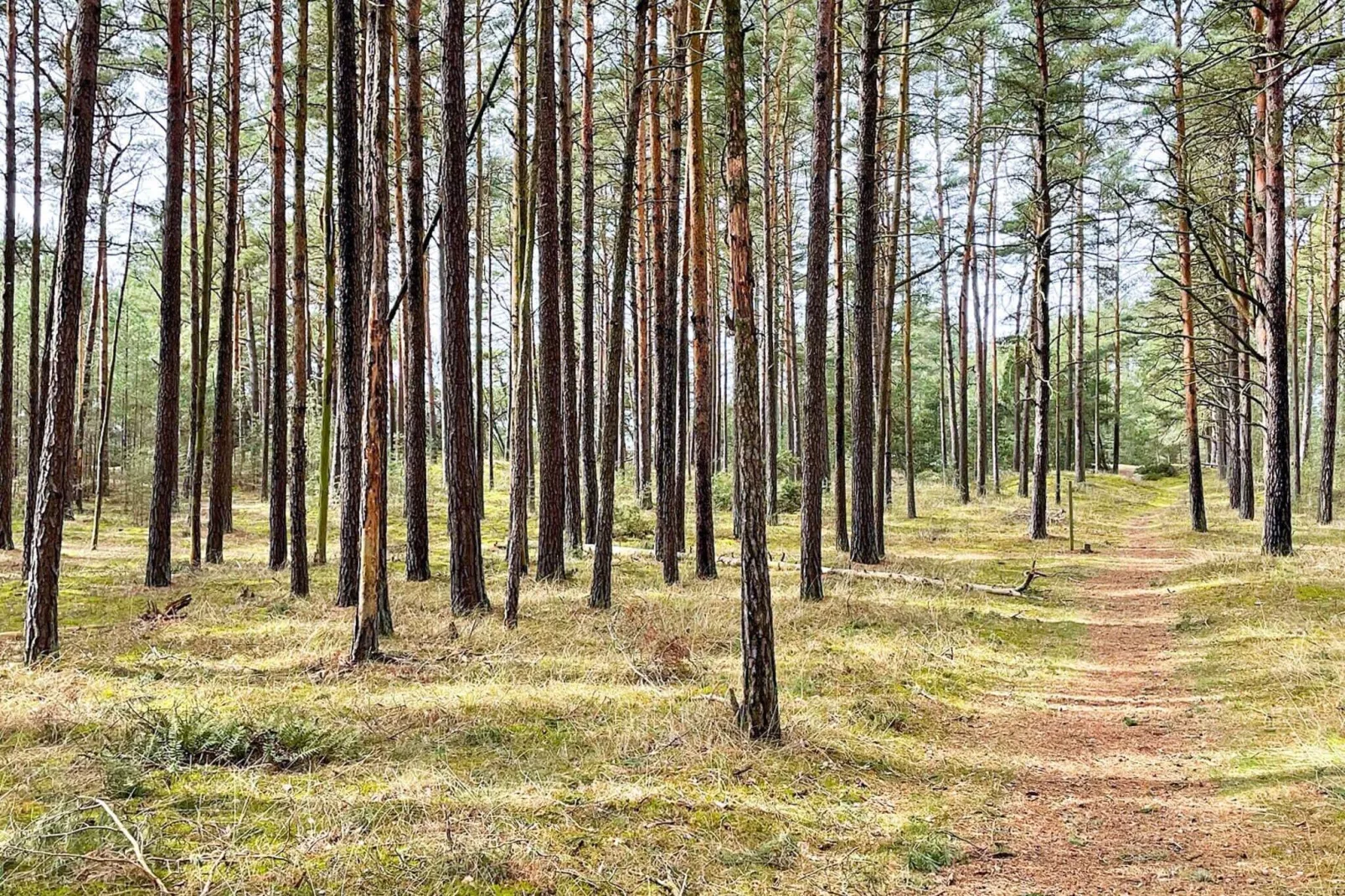 4 Sterne Ferienhaus in YNGSJÖ-By Traum-Nicht getaggt