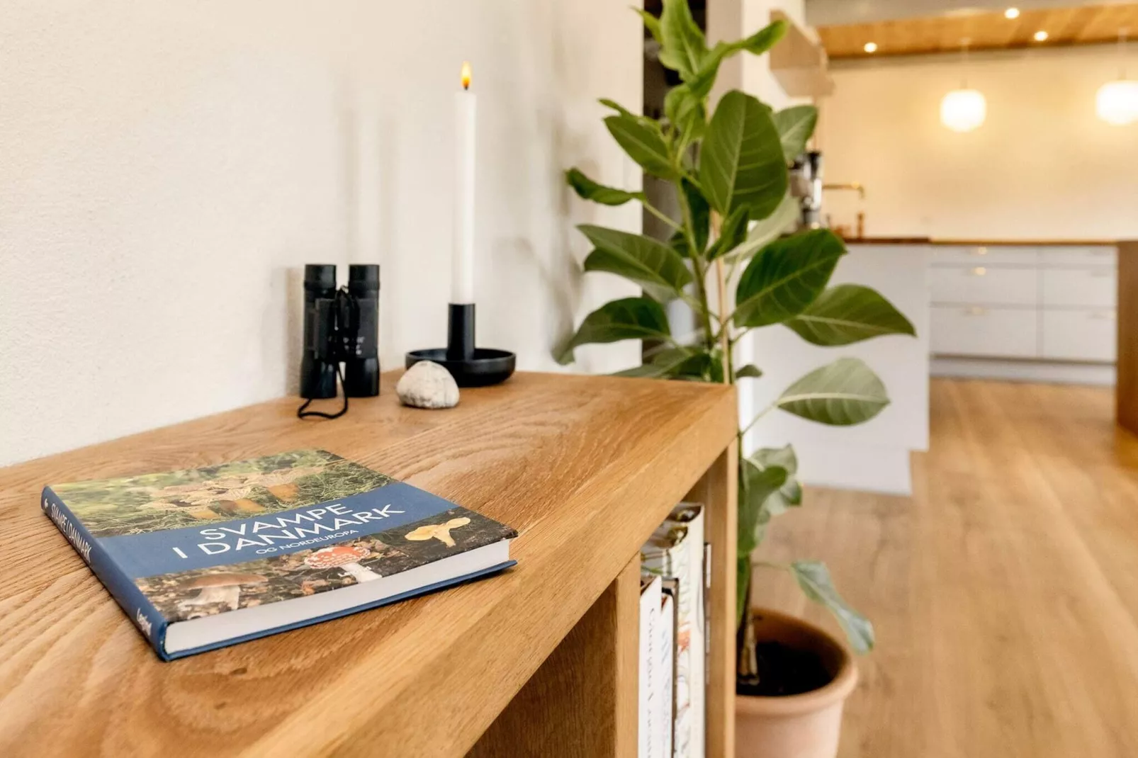 5 Sterne Ferienhaus in Læsø-By Traum-Innen