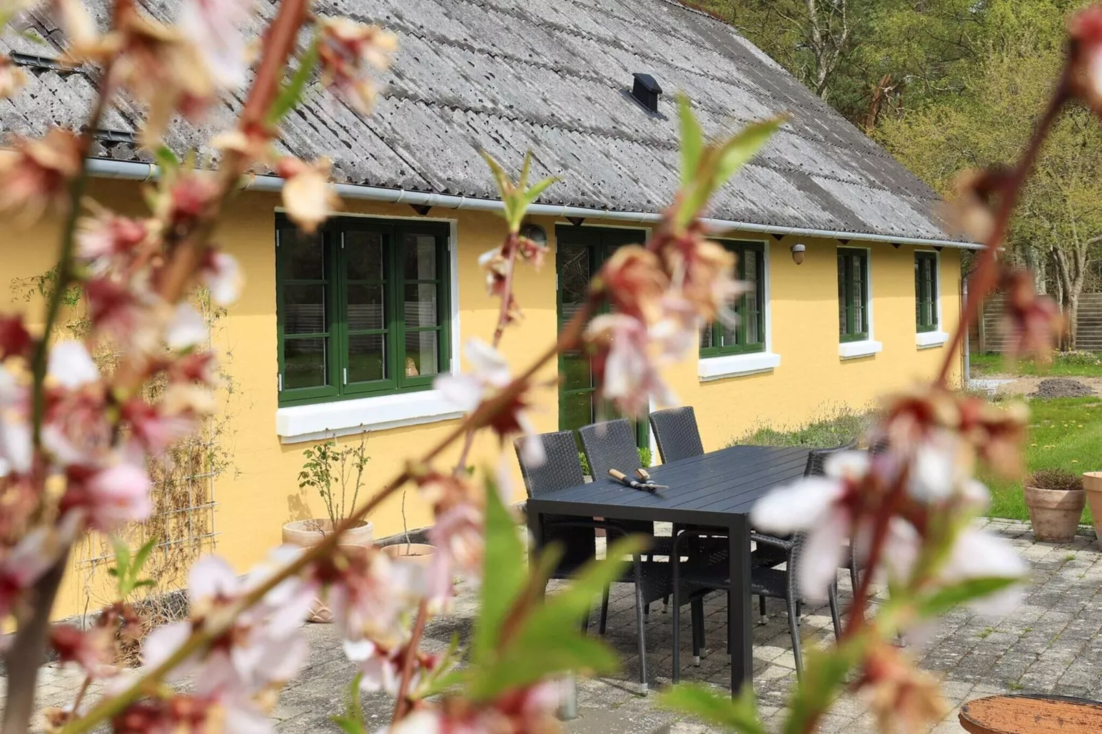 5 Sterne Ferienhaus in Læsø-By Traum-Aussicht