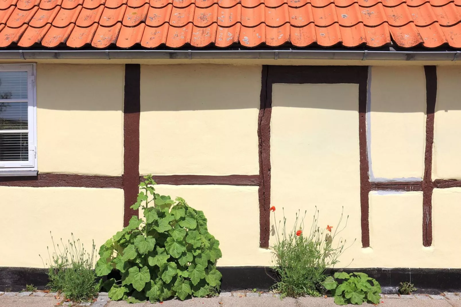 4 person holiday home in Nysted-By Traum-View