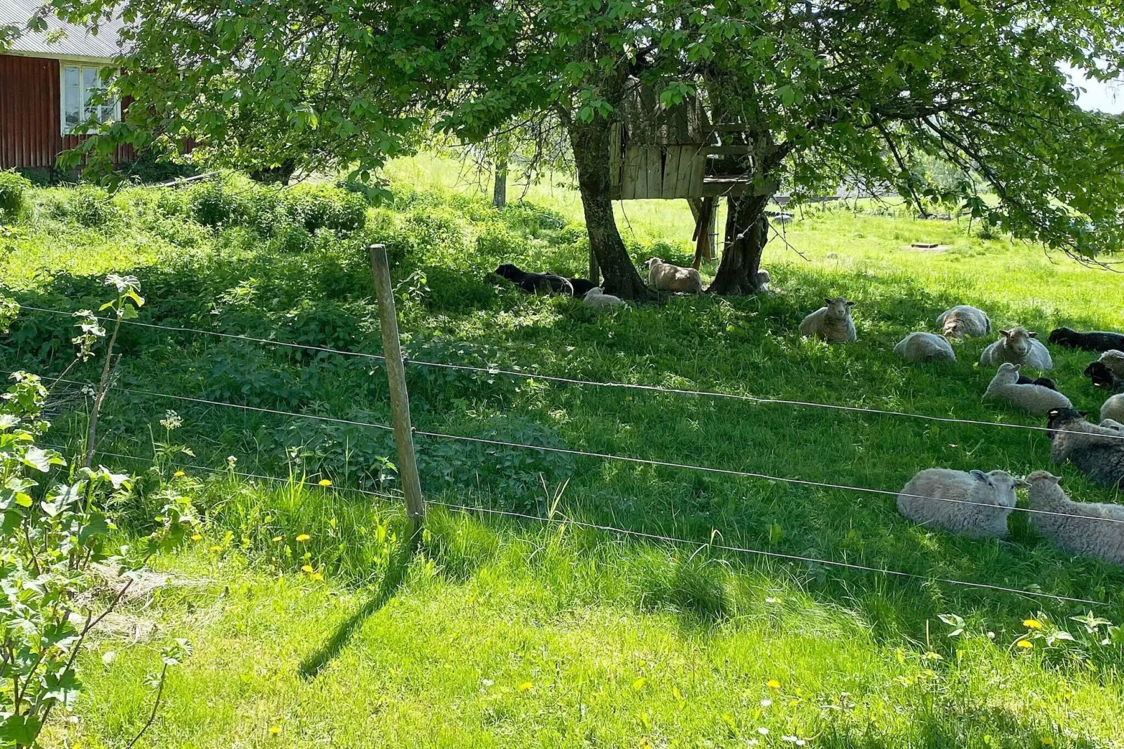 outdoor