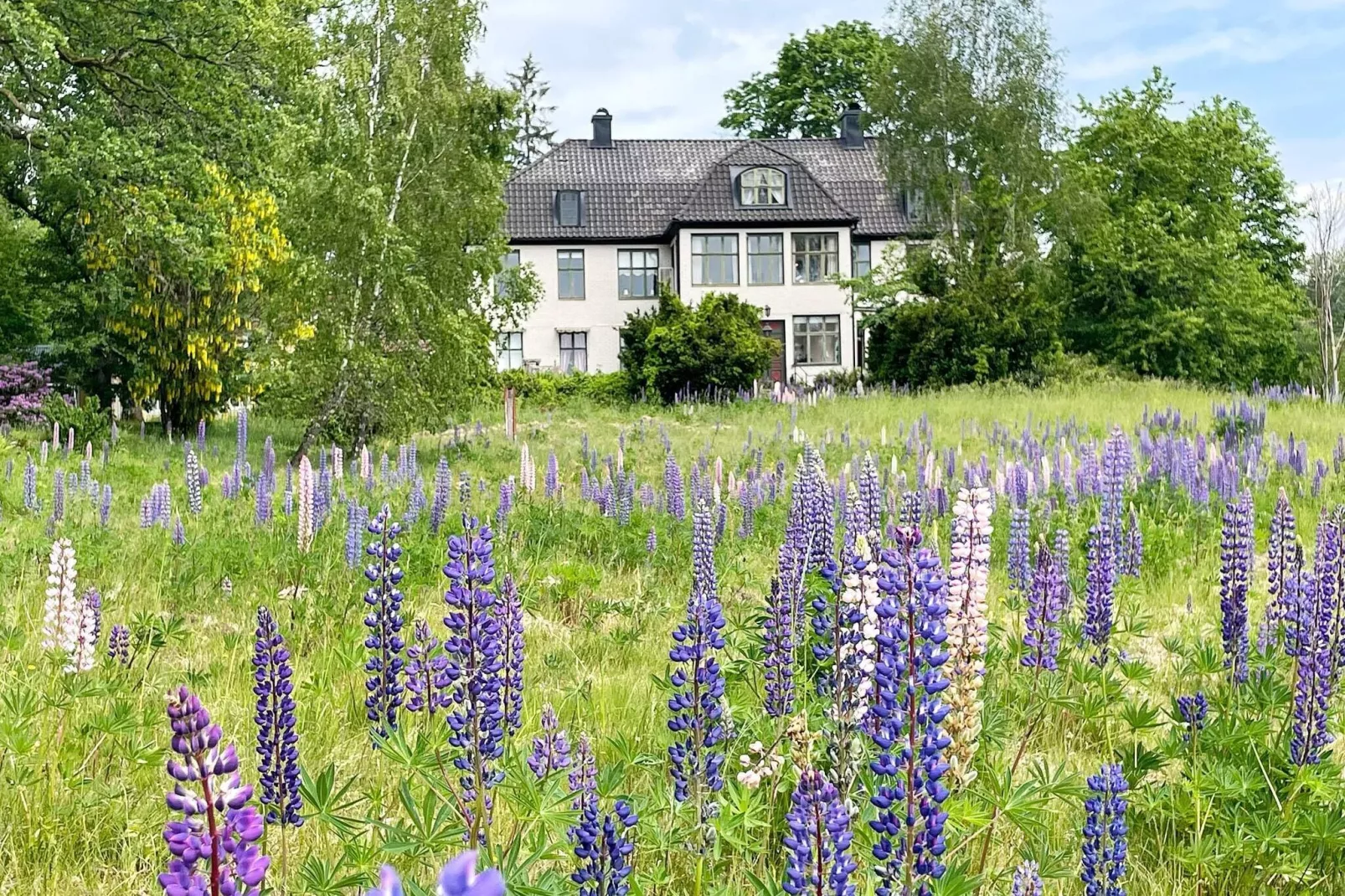 4 star holiday home in Olofström-Outdoor