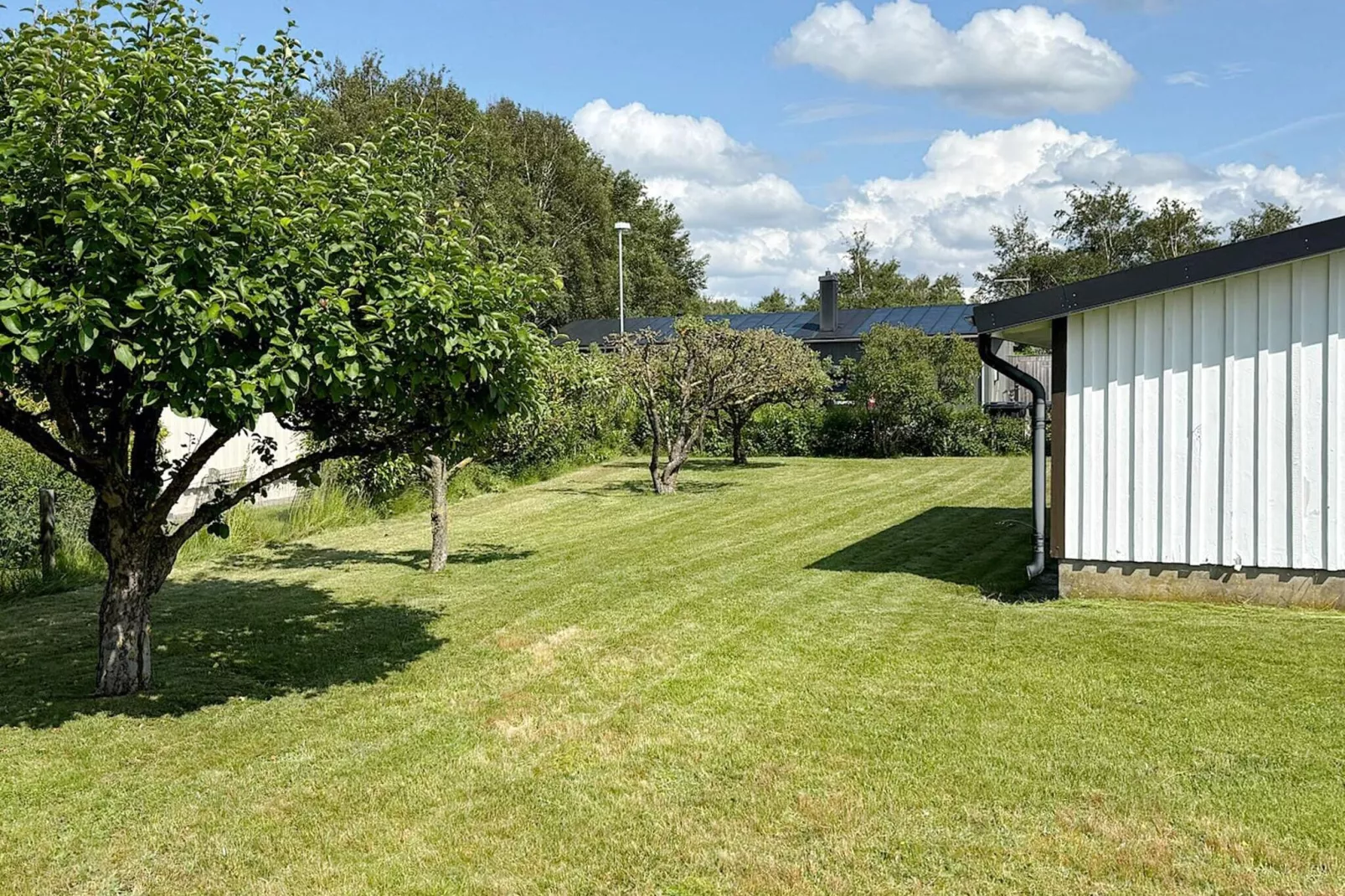 Welcoming cottage near the sea-Outdoor
