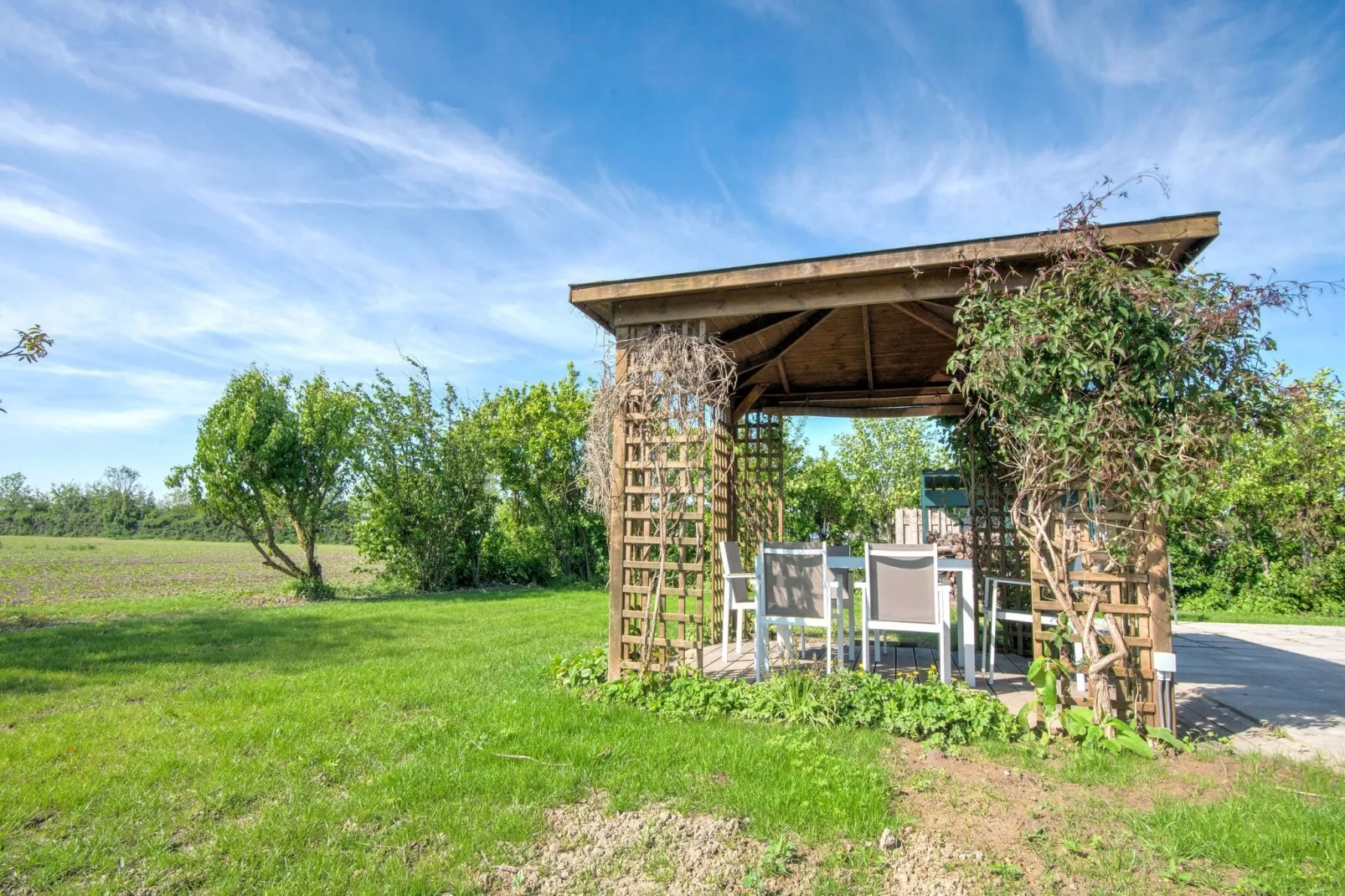 Het Zwarte Anker-Gardens summer