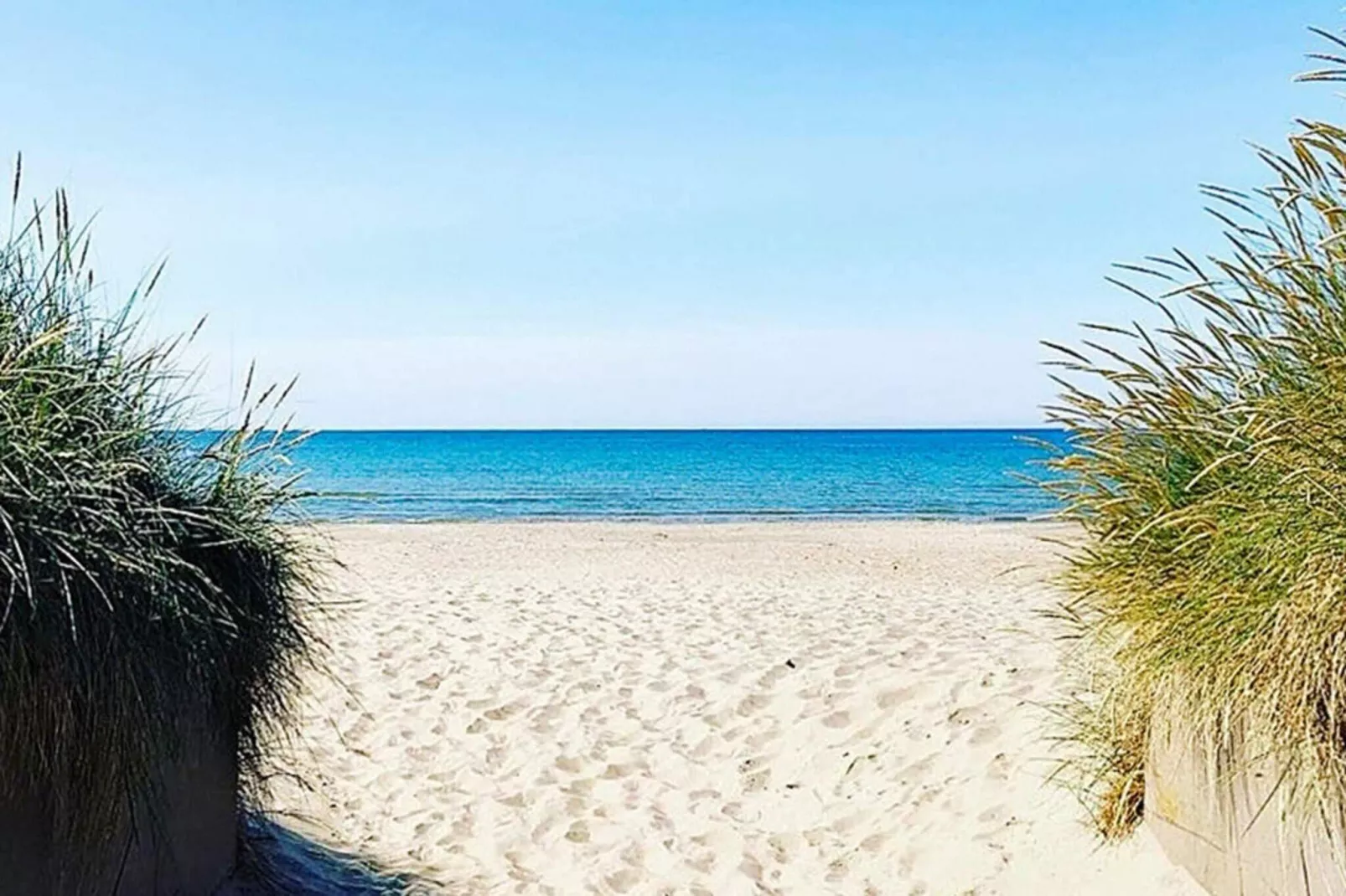 5 Personen Ferienhaus in Skummeslövsstrand-Nicht getaggt