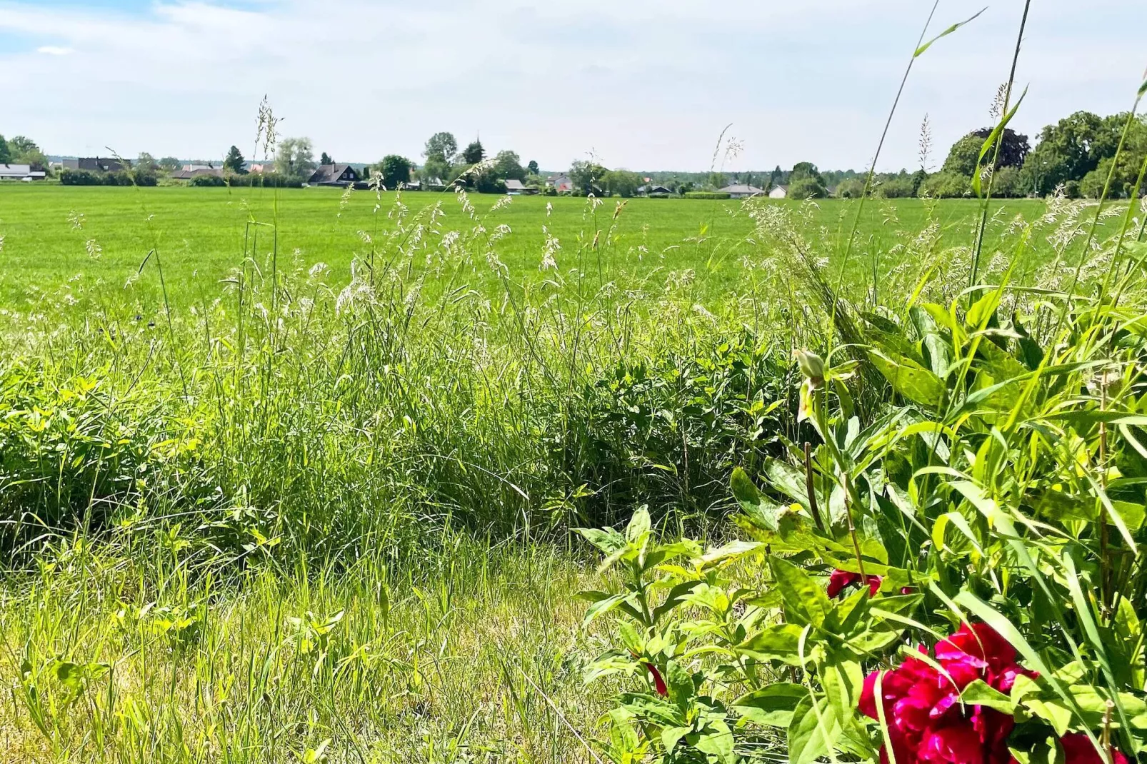 8 person holiday home in HÖGSBY-Outdoor
