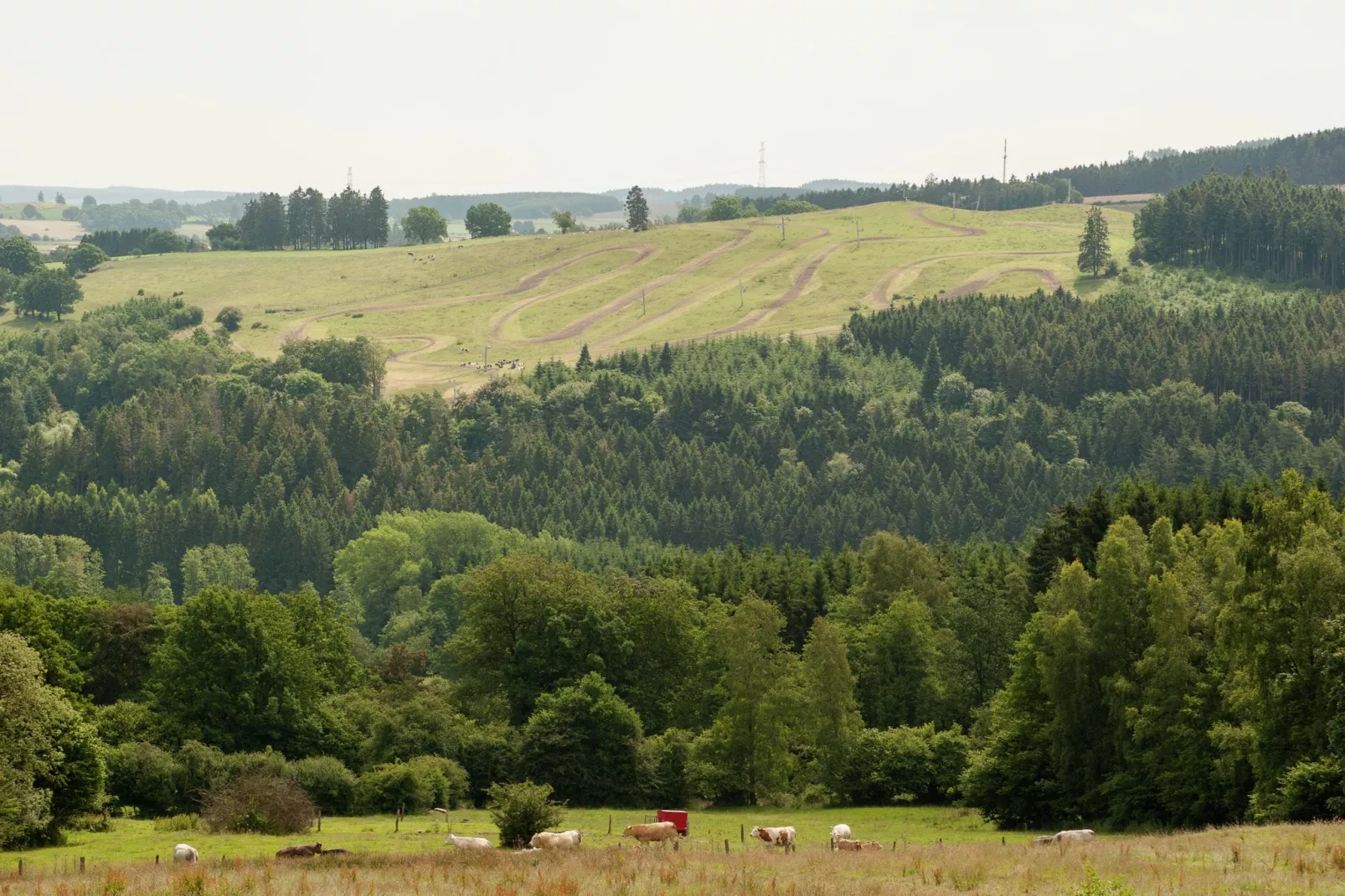 La Fausse Epine-Gebiete Sommer 1 km