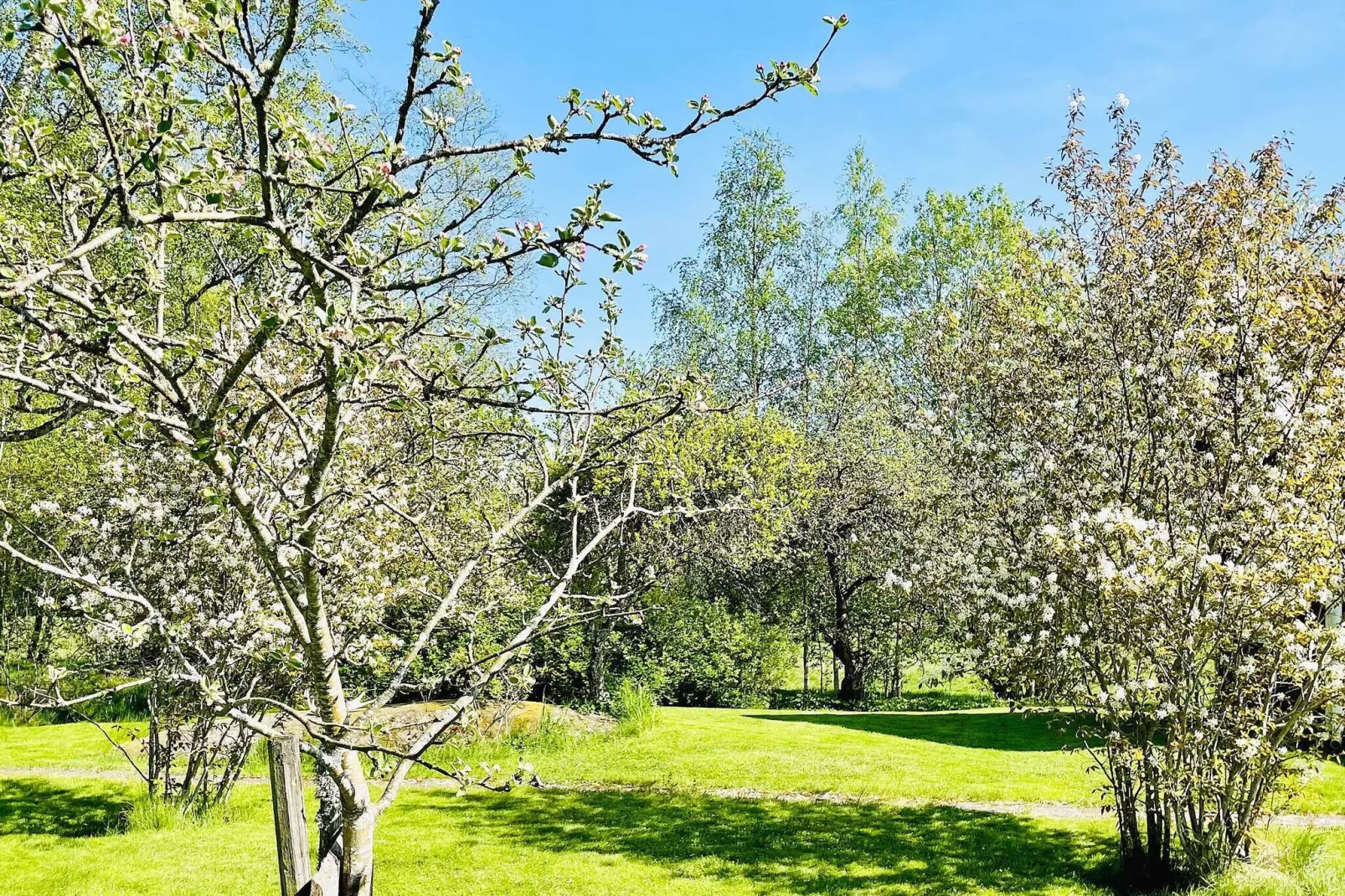4 star holiday home in BRÅLANDA-Outdoor