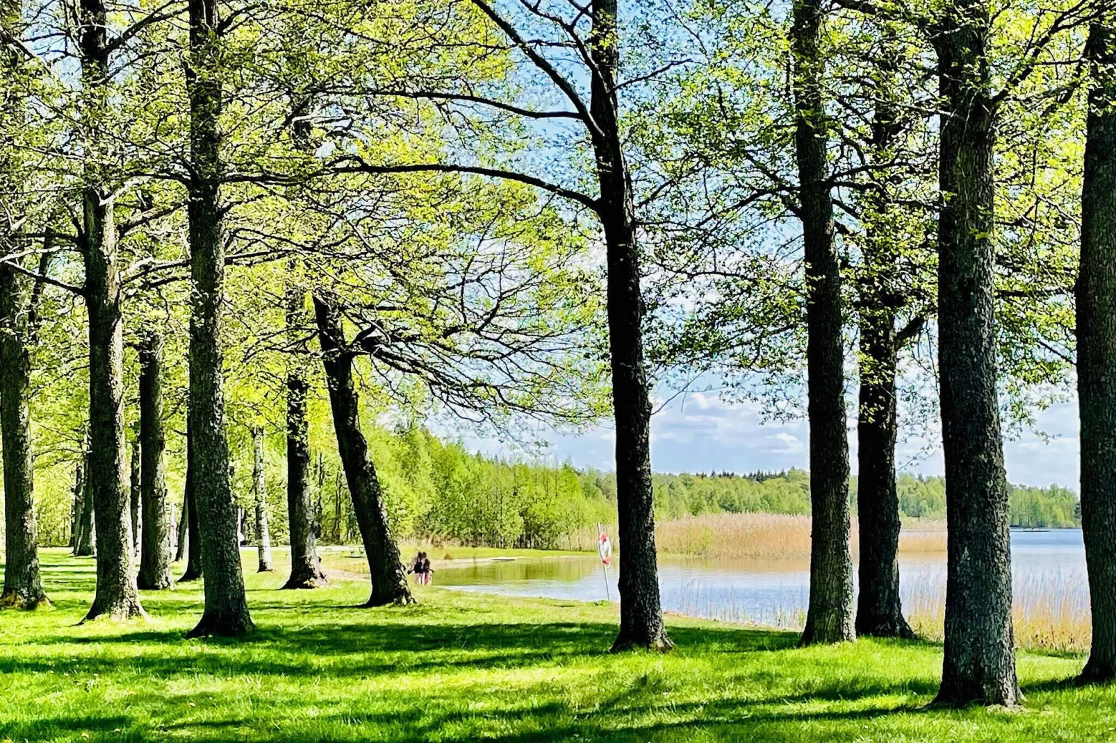 4 star holiday home in BRÅLANDA-Not tagged