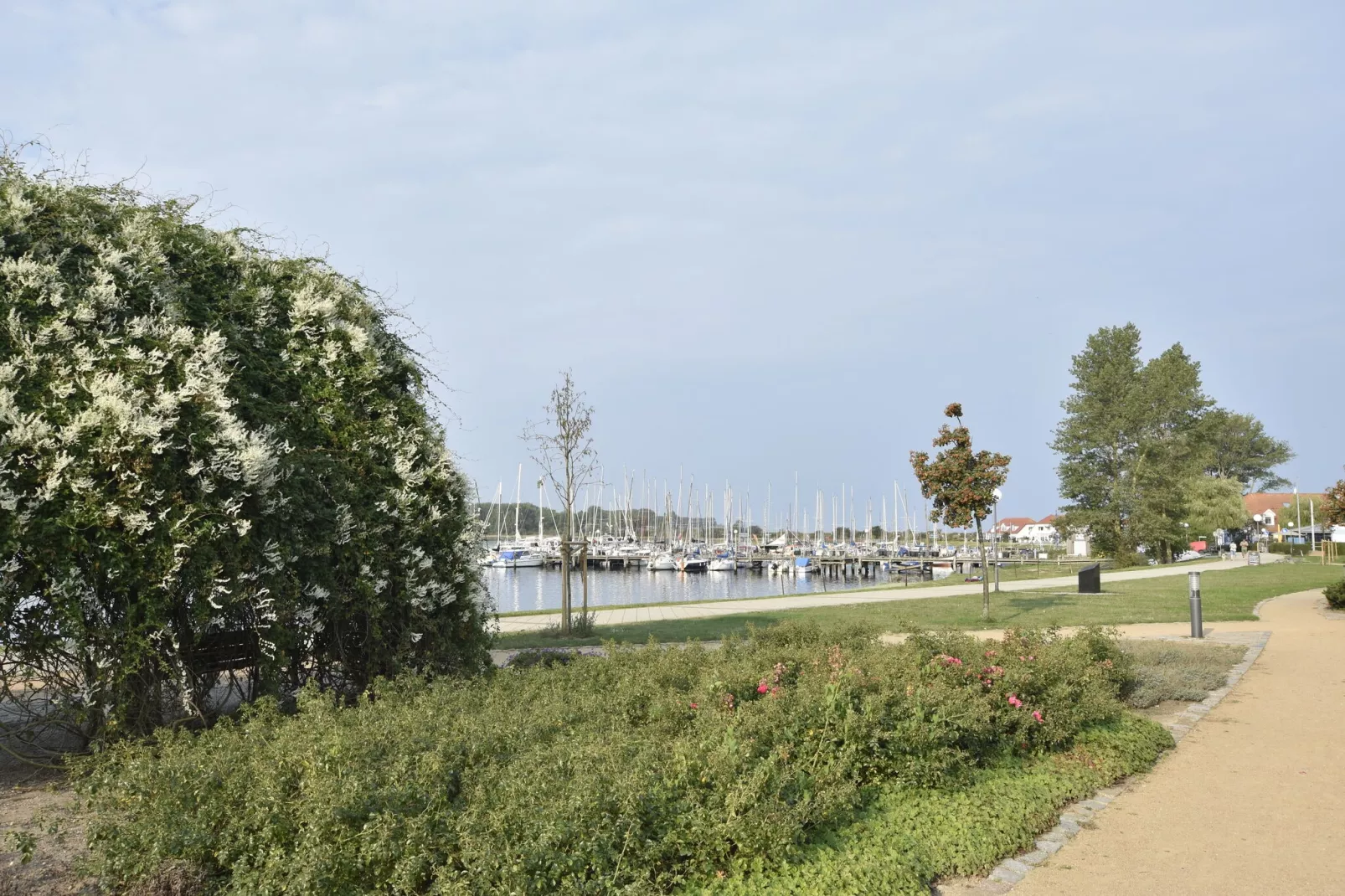 Am Haffplatz-Areas summer 1km