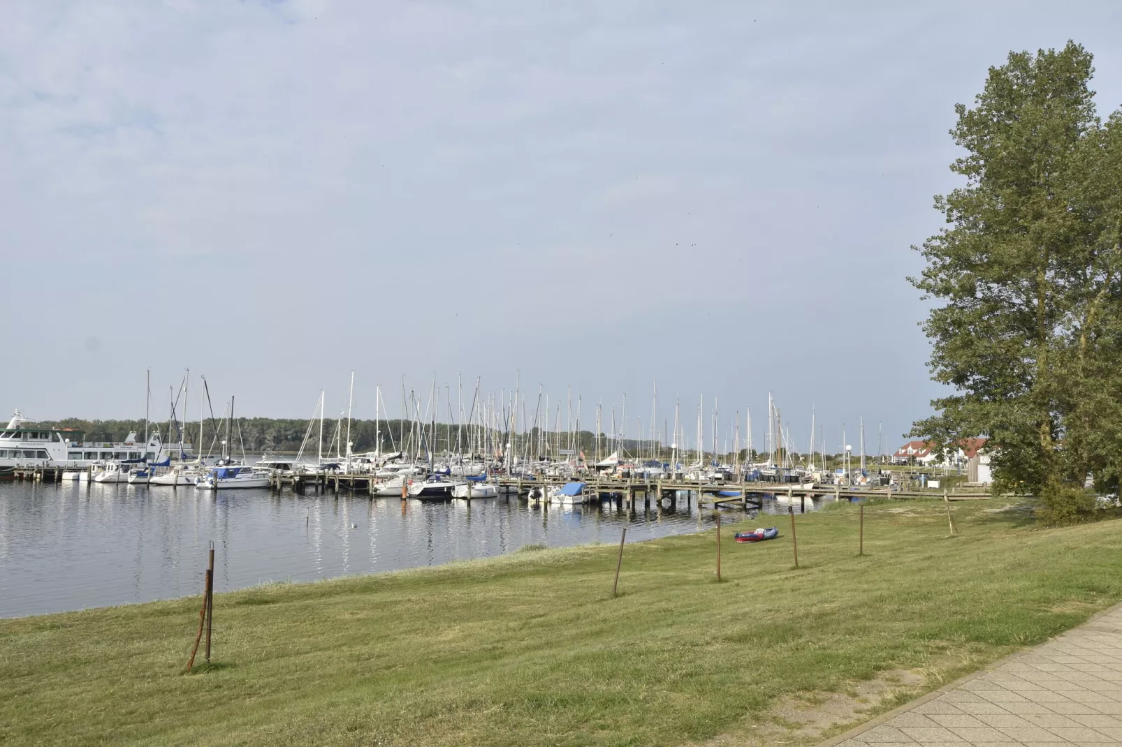 Am Haffplatz-Areas summer 1km