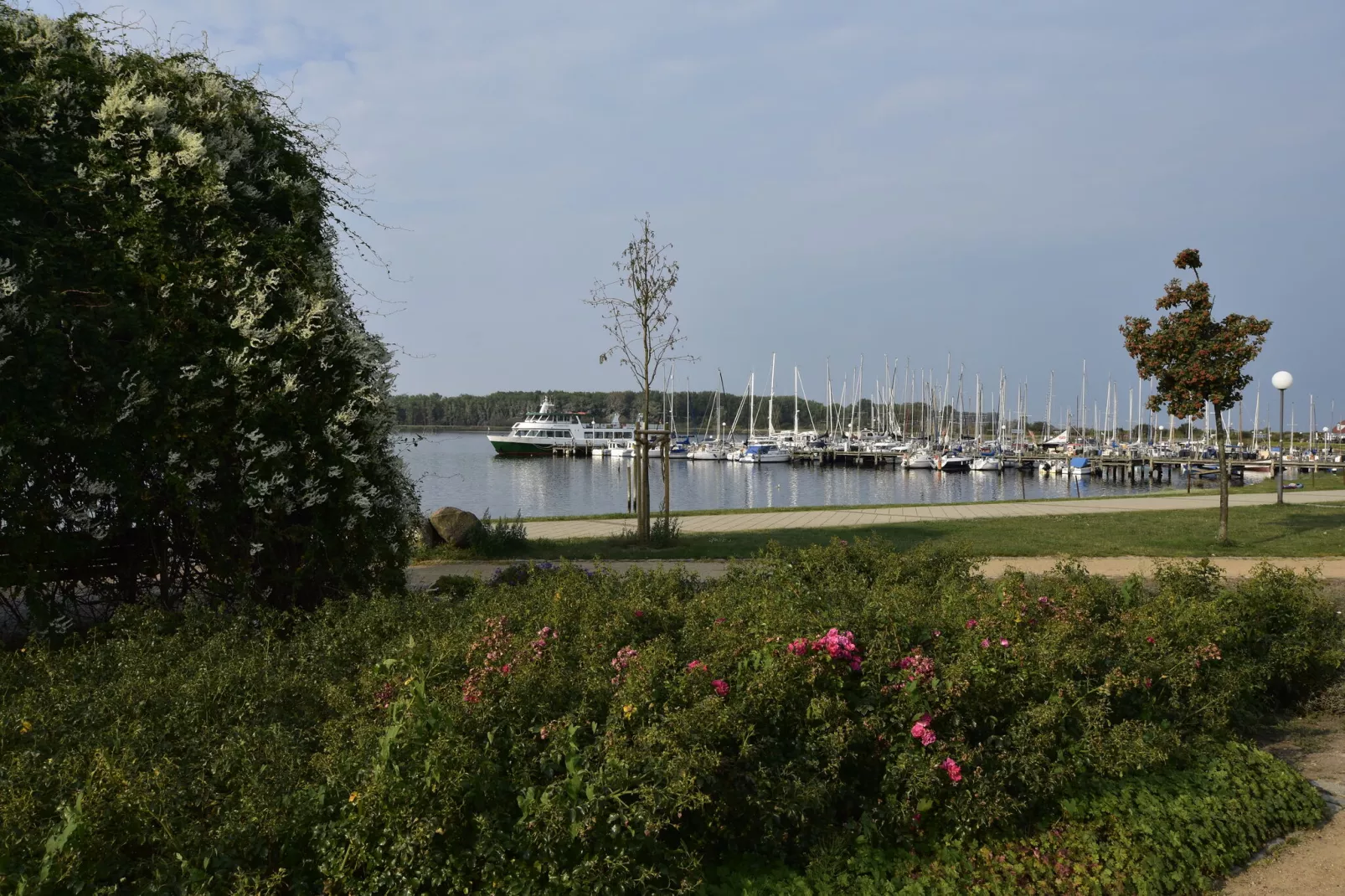 Am Haffplatz-Areas summer 20km