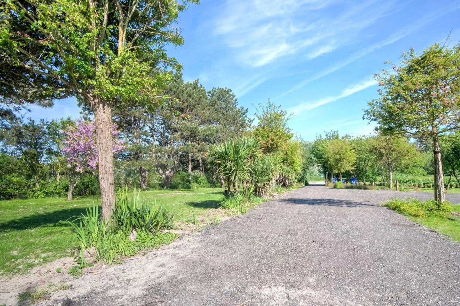 Het Zwarte Anker-Areas summer 1km
