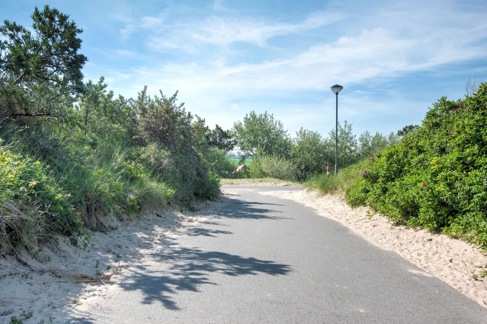 Het Zwarte Anker-Areas summer 1km