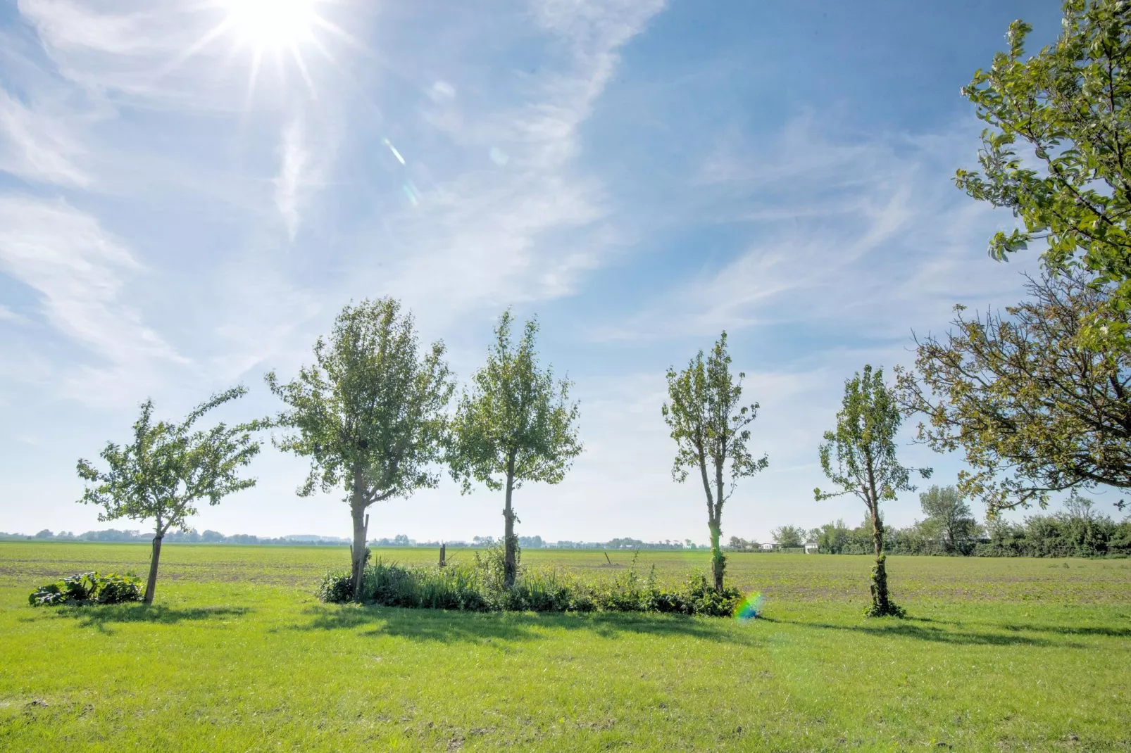 Het Zwarte Anker-Areas summer 1km