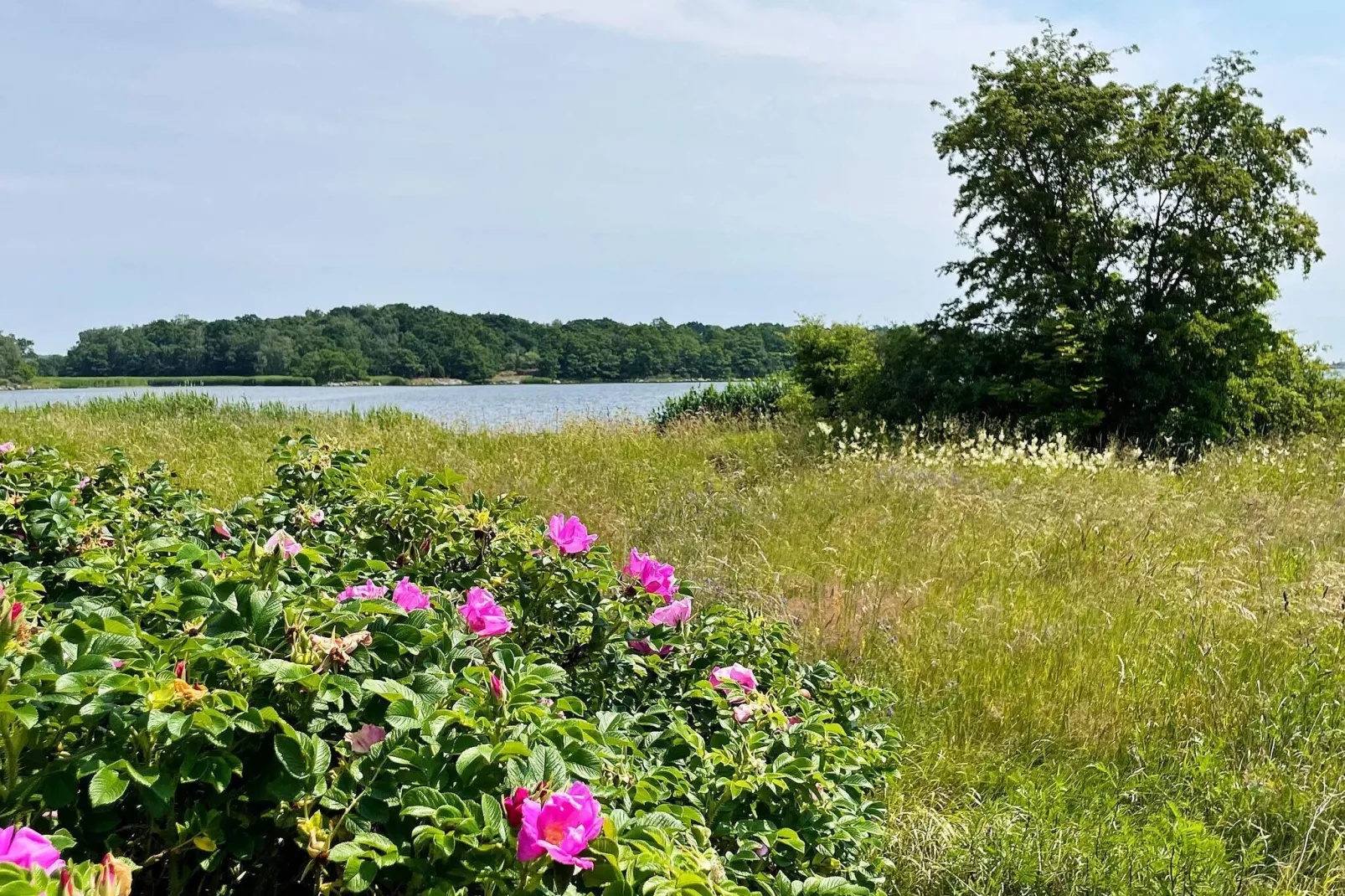 4 star holiday home in MÖRRUM-Outdoor