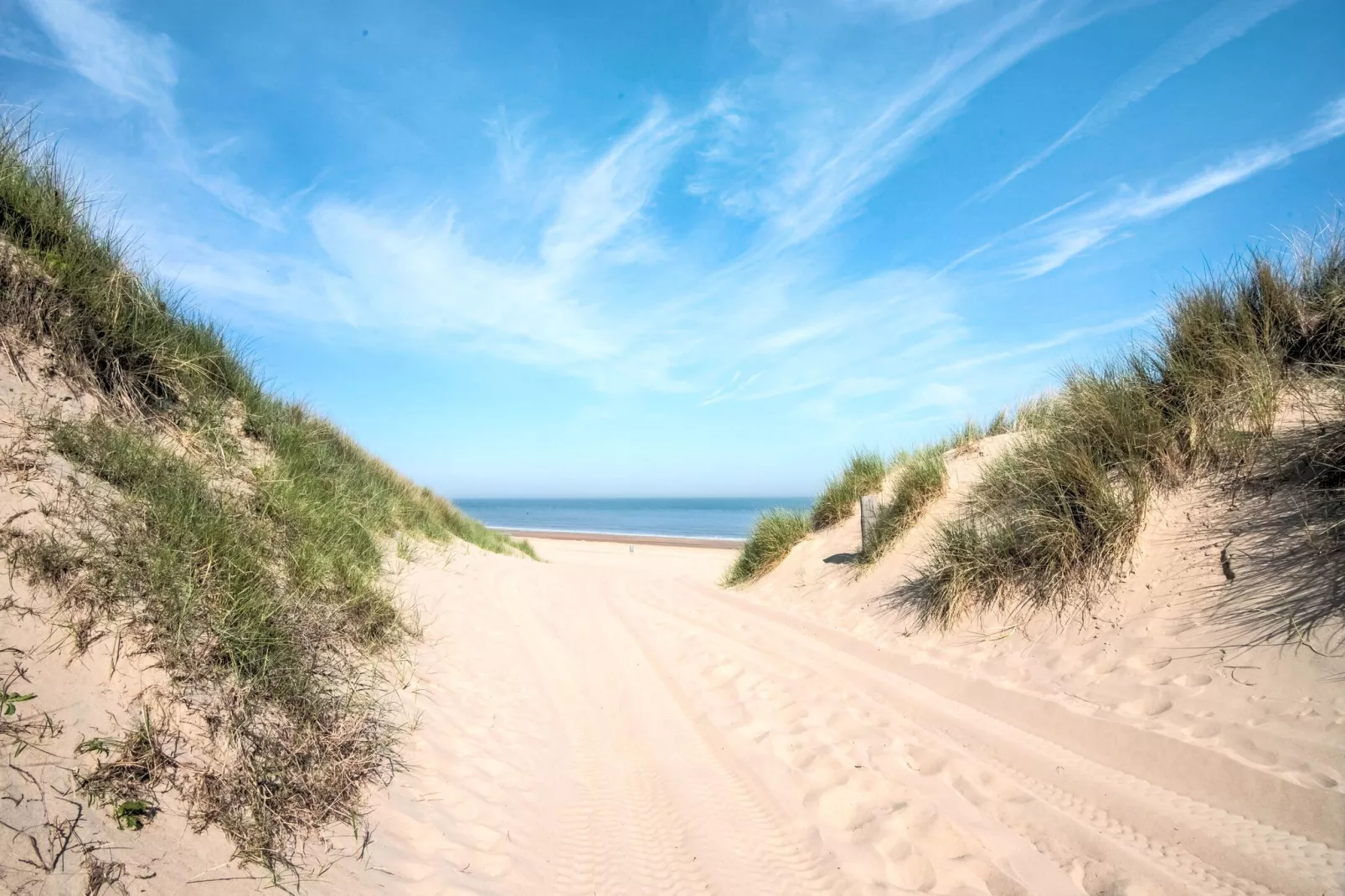 Het Zwarte Anker-Areas summer 5km
