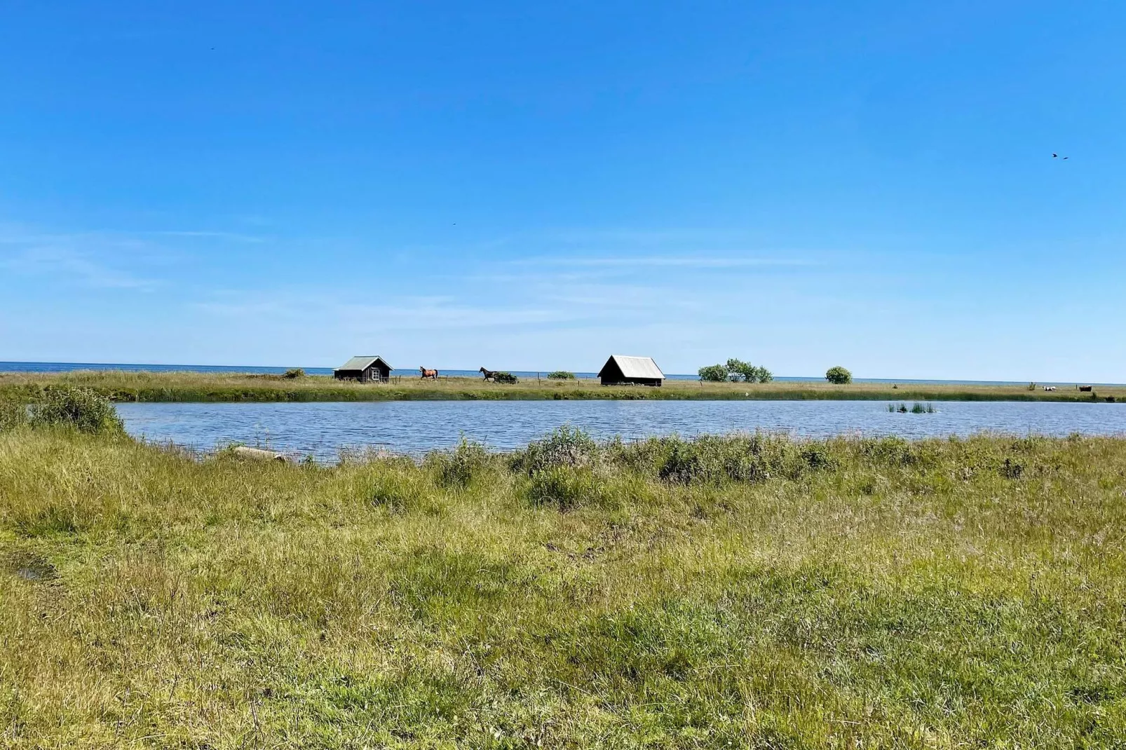 4 person holiday home in BORGHOLM-Not tagged