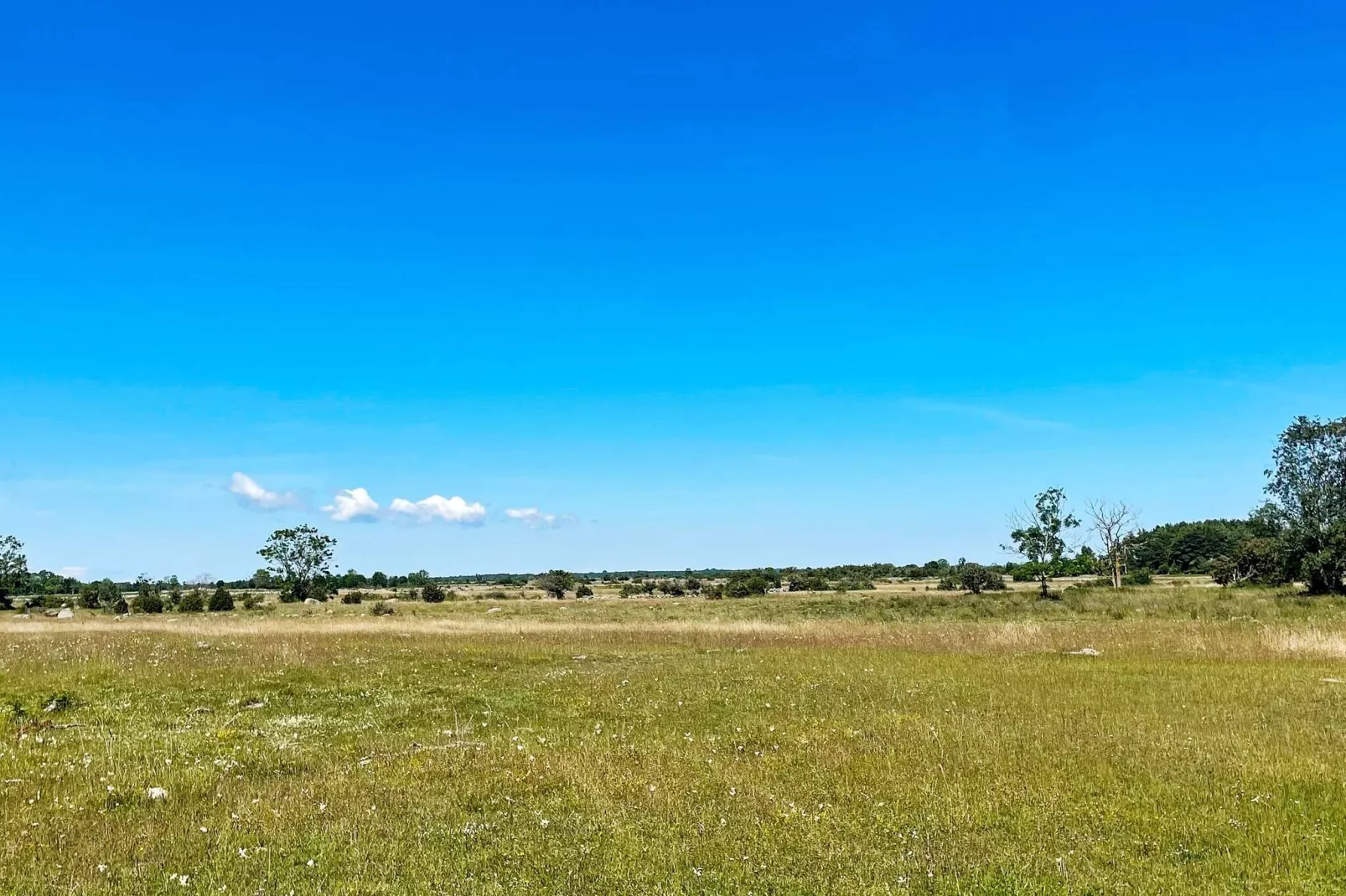 4 person holiday home in BORGHOLM-Not tagged
