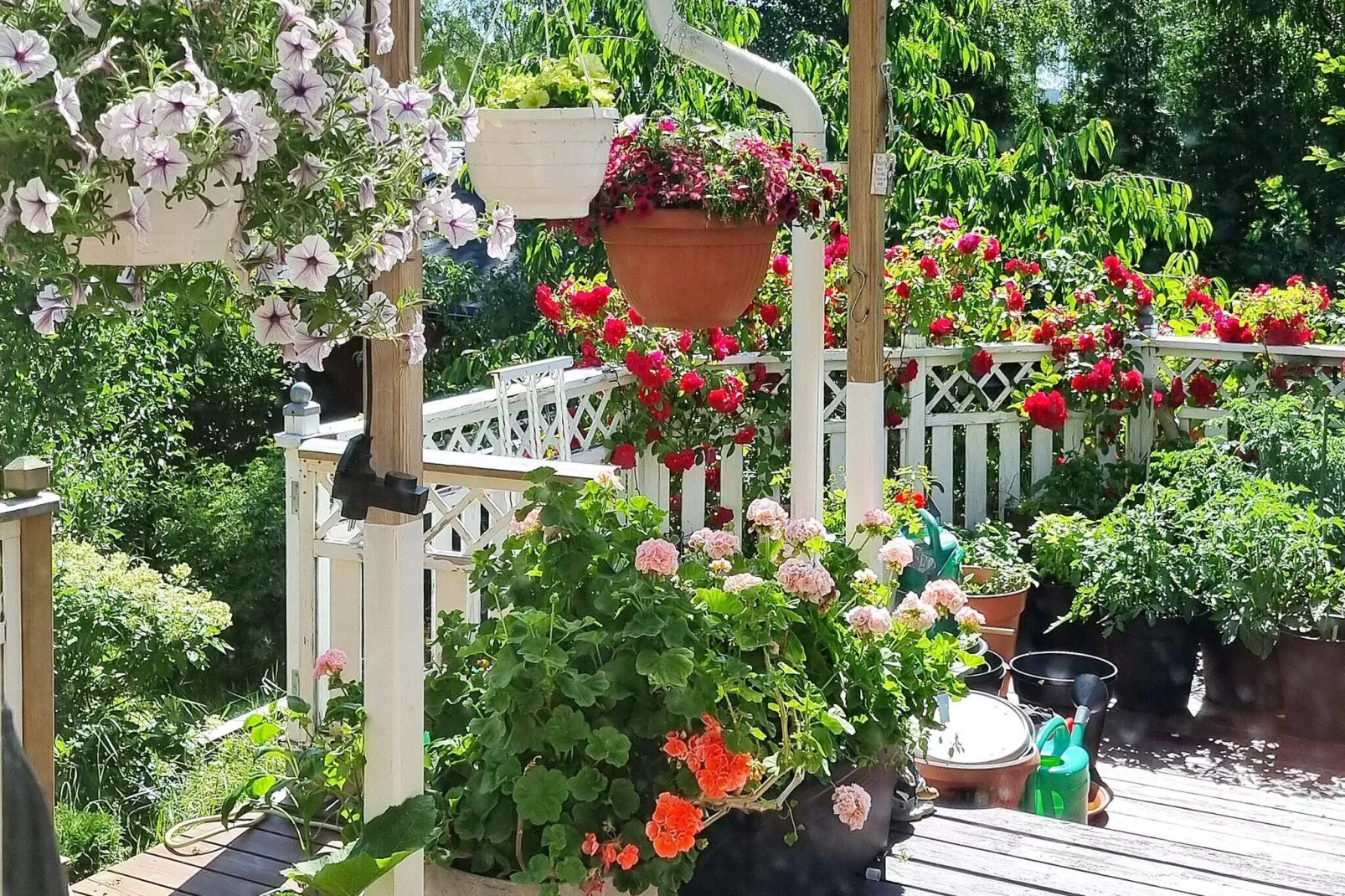 4 person holiday home in ÅRSTA HAVSBAD-Outdoor