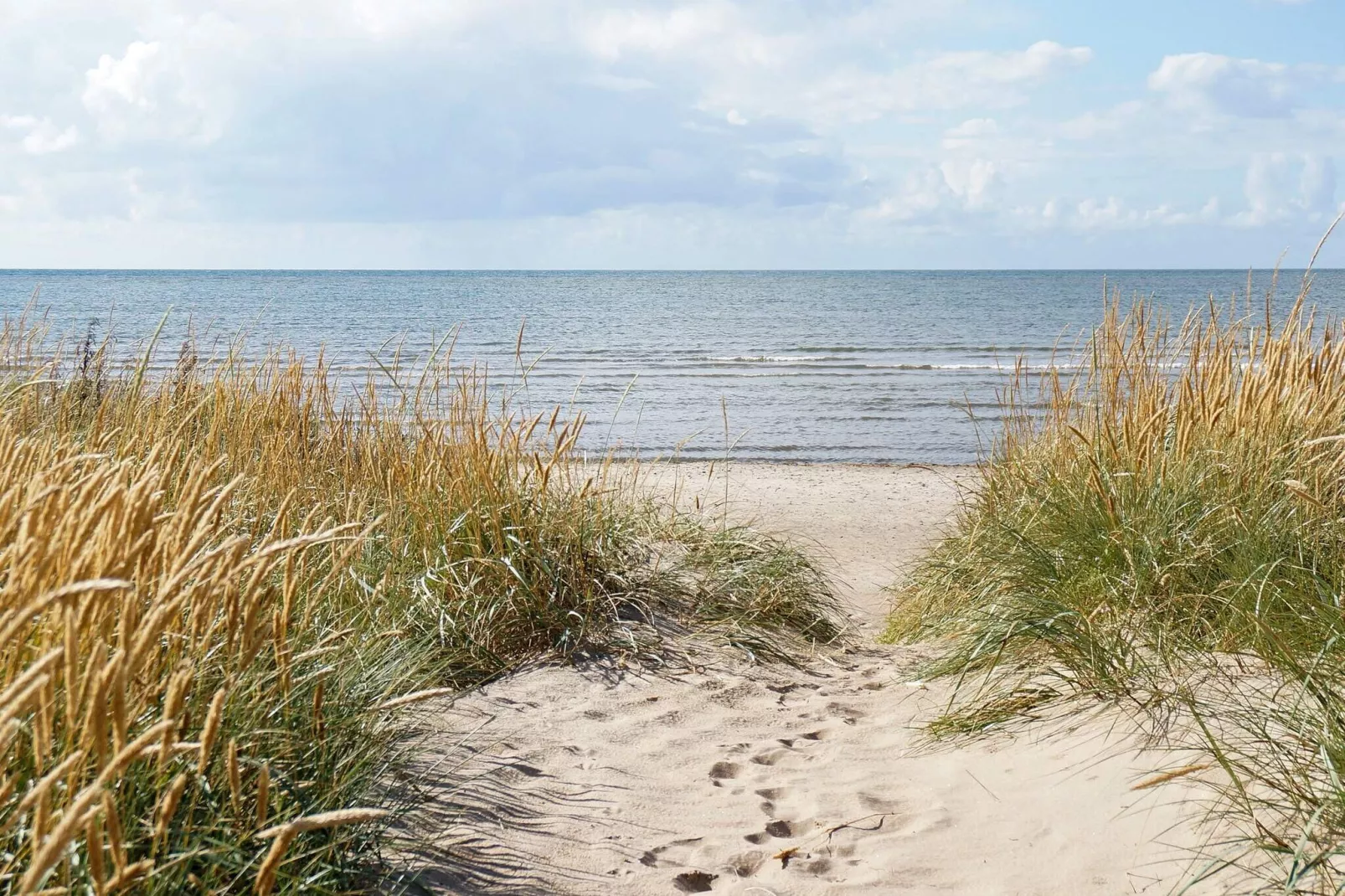 4 person holiday home in FALKENBERG-Not tagged