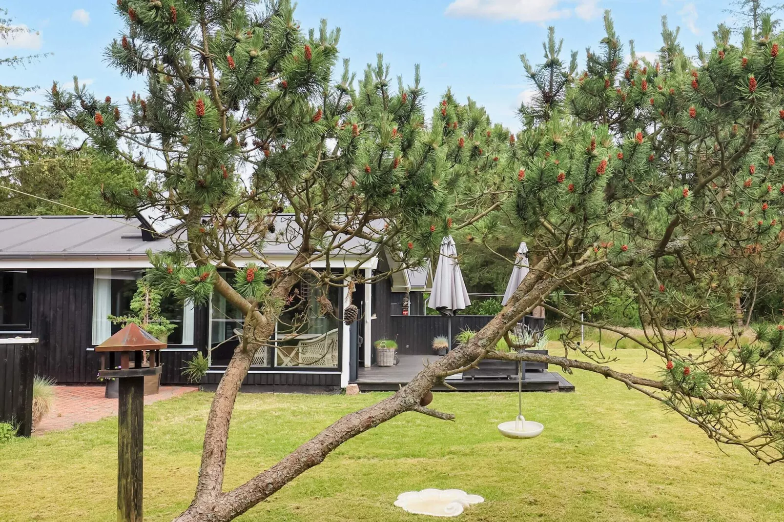 6 person holiday home in Jerup-By Traum-View