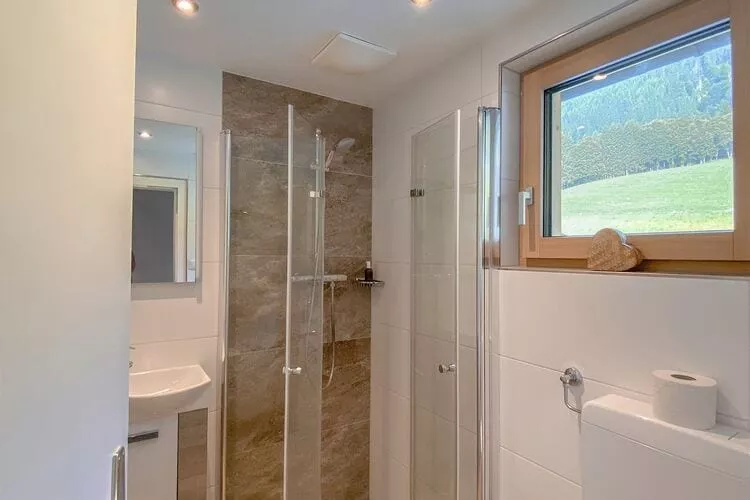 Ferienhaus Dachsteinheim-Bathroom