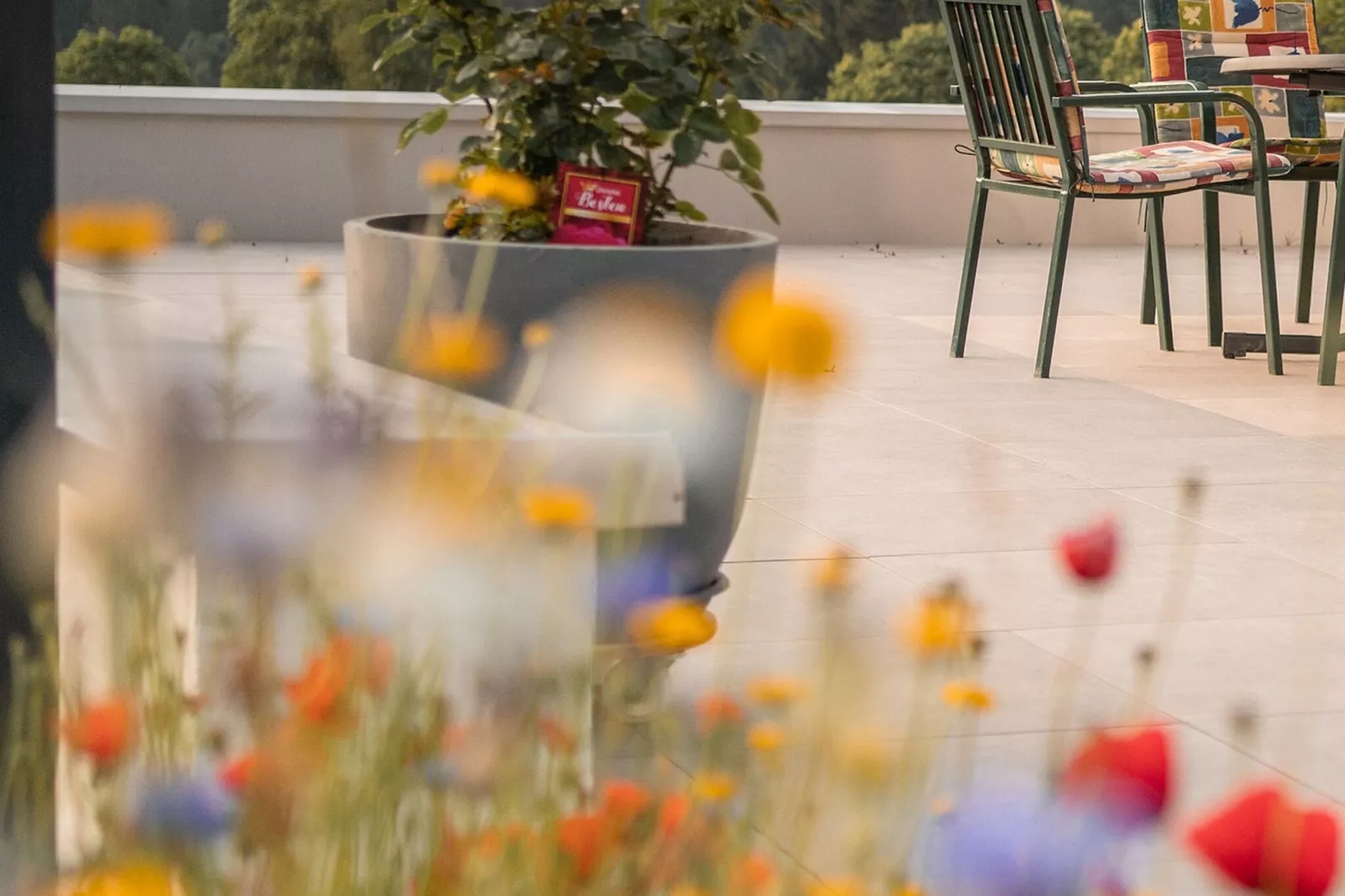 Ferienhaus Dachsteinheim-Terrace balcony