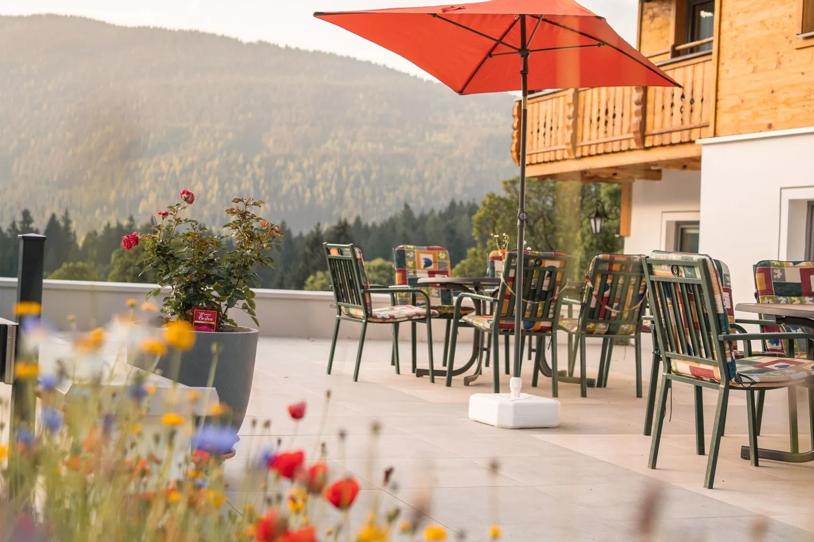 Ferienhaus Dachsteinheim-Terrace balcony