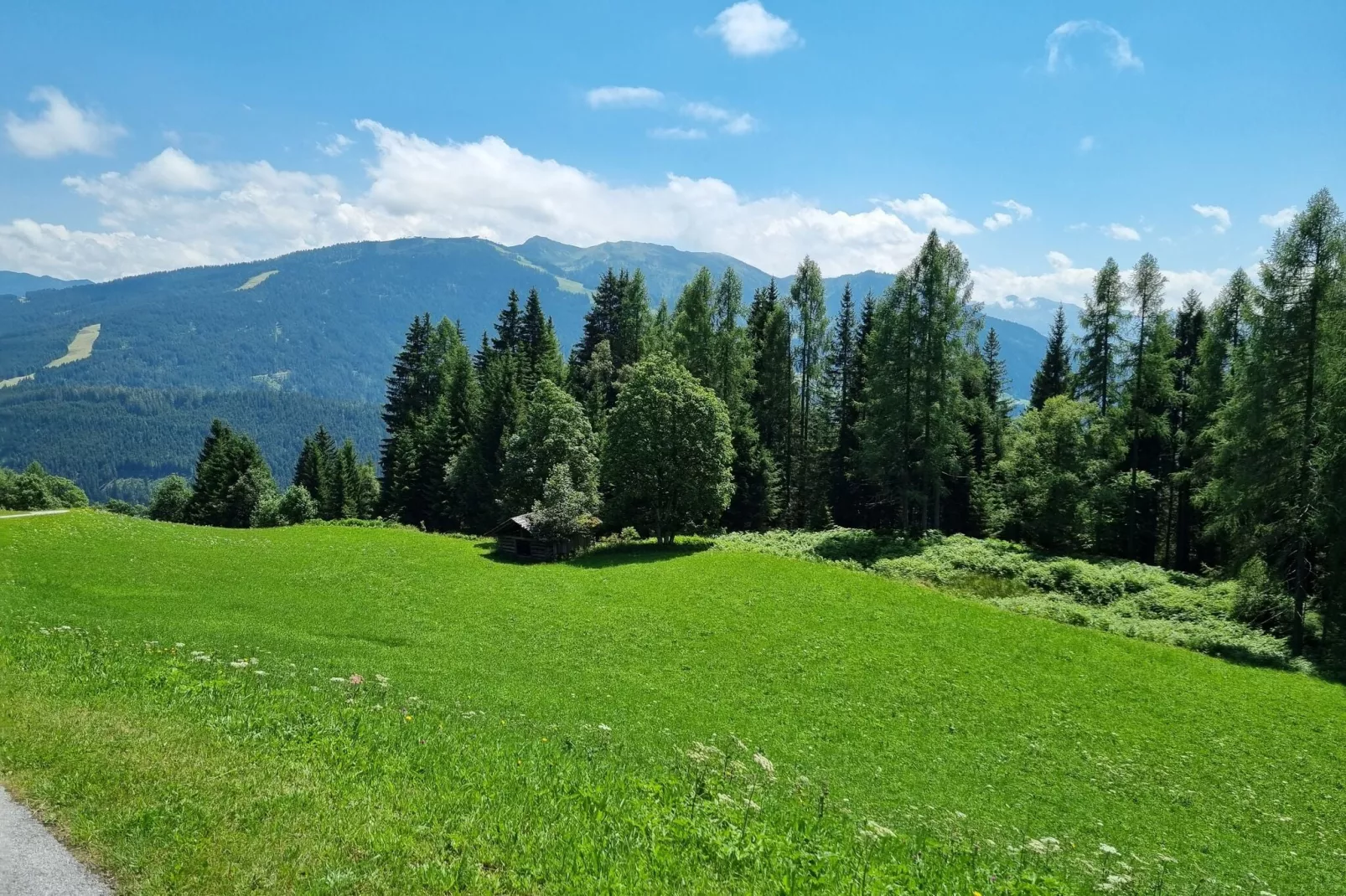 Apartment Bergblick-View summer