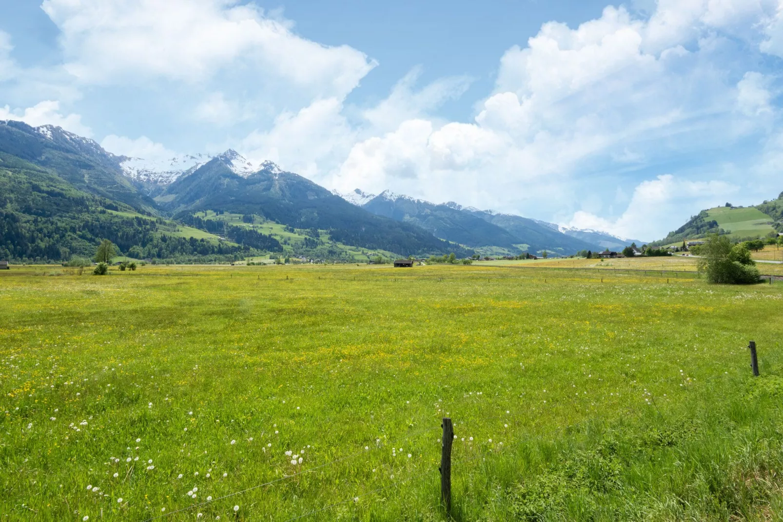 Apartment Klingler-Areas summer 5km